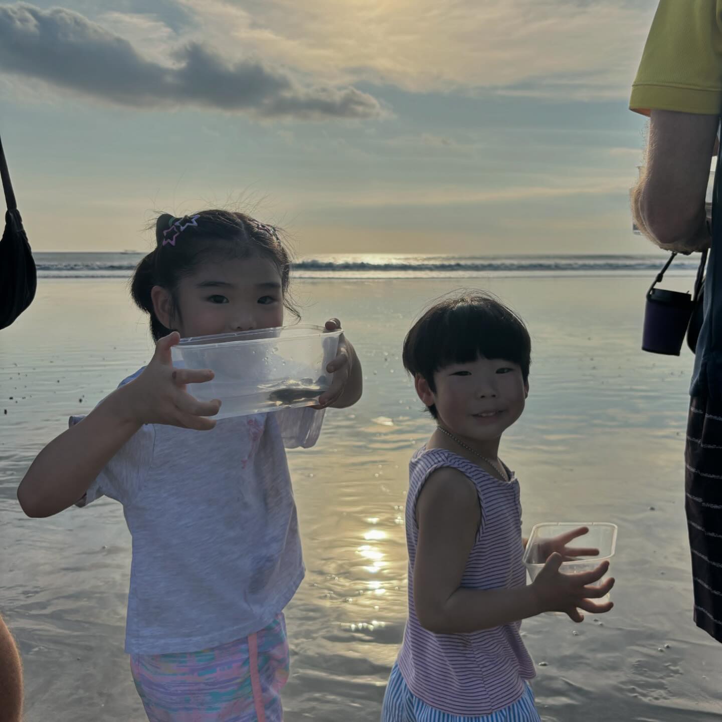 뜻깊었던 거북이 방생 체험 🌊🐢❤️

채은이의 마지막 인사
“거북아 엄마 만나서 사랑을 많이 먹고 쑥쑥 자라. 사랑해“

#채채네발리한달살기
