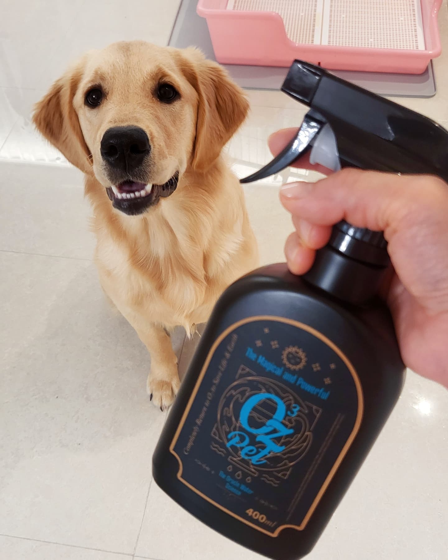 #협찬 @오즈펫
반려동물 탈취제🐶

저희집엔 댕댕이들과 냥이와 함께 하고 있어서 탈취제는 필수에용😄
오즈펫 탈취제는 독보적인 오존수 성분의 안전한 탈취제라 후각에 자극 없는 무향 탈취제이고 화학물질이 첨가되지 않은 안전한 제품이랍니당😍

다양한 안전성 테스트를 통과한 제품으로 안심하고
사용할 수 있고 플라즈마와 나노버블의 독보적인 기술로 유통기한을 8개월까지 연장시킨 제품이라 너무 좋아요👍

댕댕이들이 향에 민감해서 가끔 향이 강한 탈취제를 쓰면
불편해 하는데 오즈펫 탈취제는 걱정없이 사용할수 있답니당🤗

#오즈펫#탈취제#강아지냄새제거#강아지탈취제#탈취제추천#무향탈취제#고양이탈취제#강아지스프레이#고양이냄새제거#애견탈취제#반려동물탈취제#냄새제거#오줌냄새#강아지오줌냄새#강아지오줌냄새제거#강아지소변냄새#강아지소변탈취제