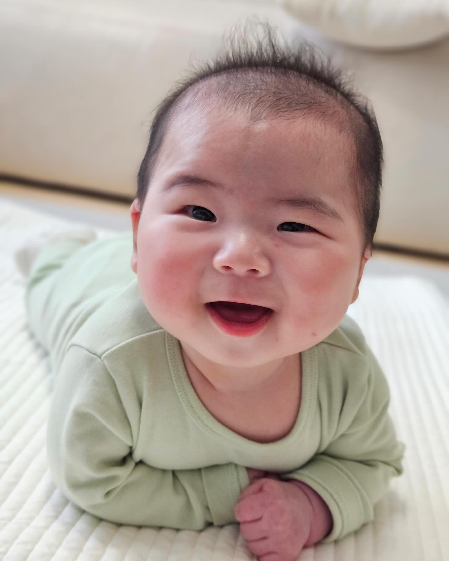 아빠랑 놀 때 표정이 더 다양해지는 강아쥐...🐶
큼큼...