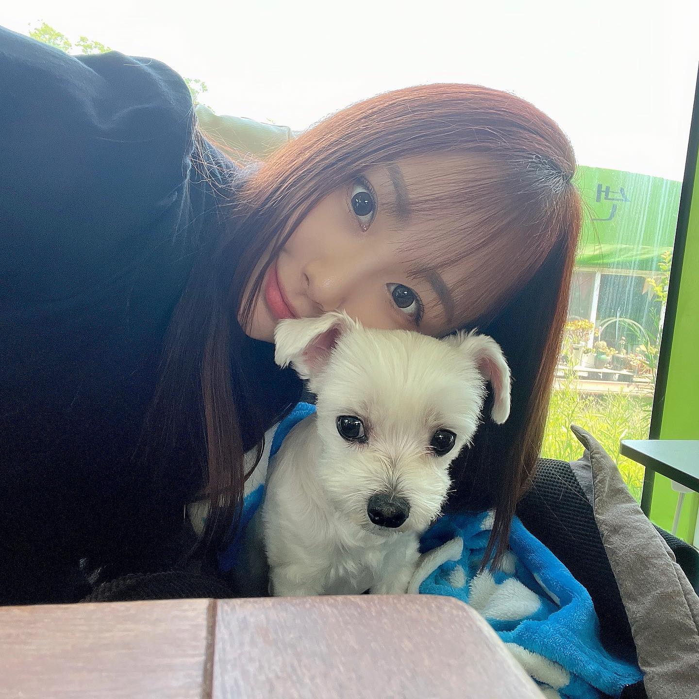 껌딱지🐶