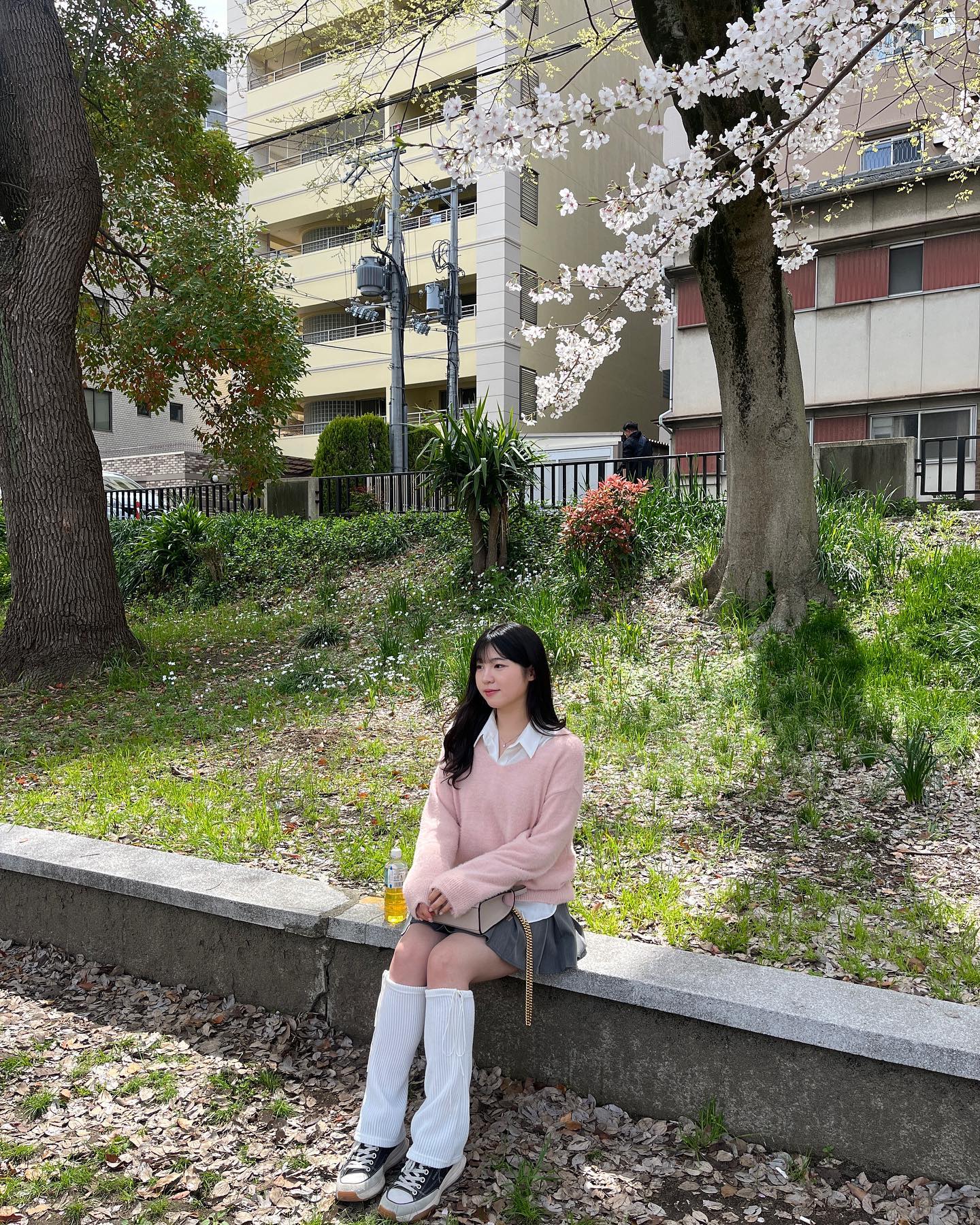 벚꽃 4시간 동안 보고 온 날 🌸

#점프샵 #지다이야 #고죠_사토루