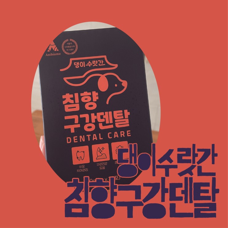댕이수랏간 : 강아지 구강 건강에 도움이 되는 쉬운 관리 방법