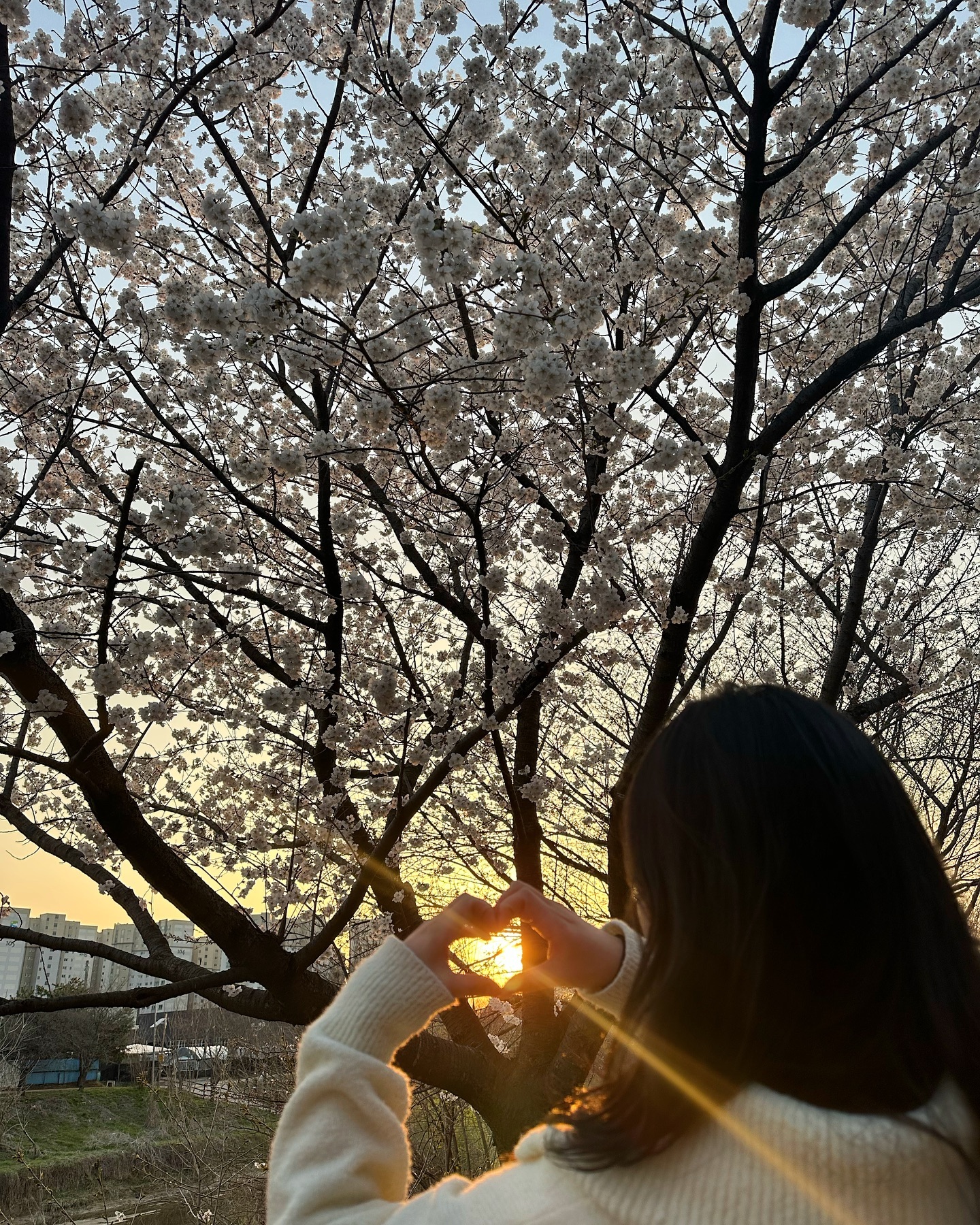 봄인가?_?