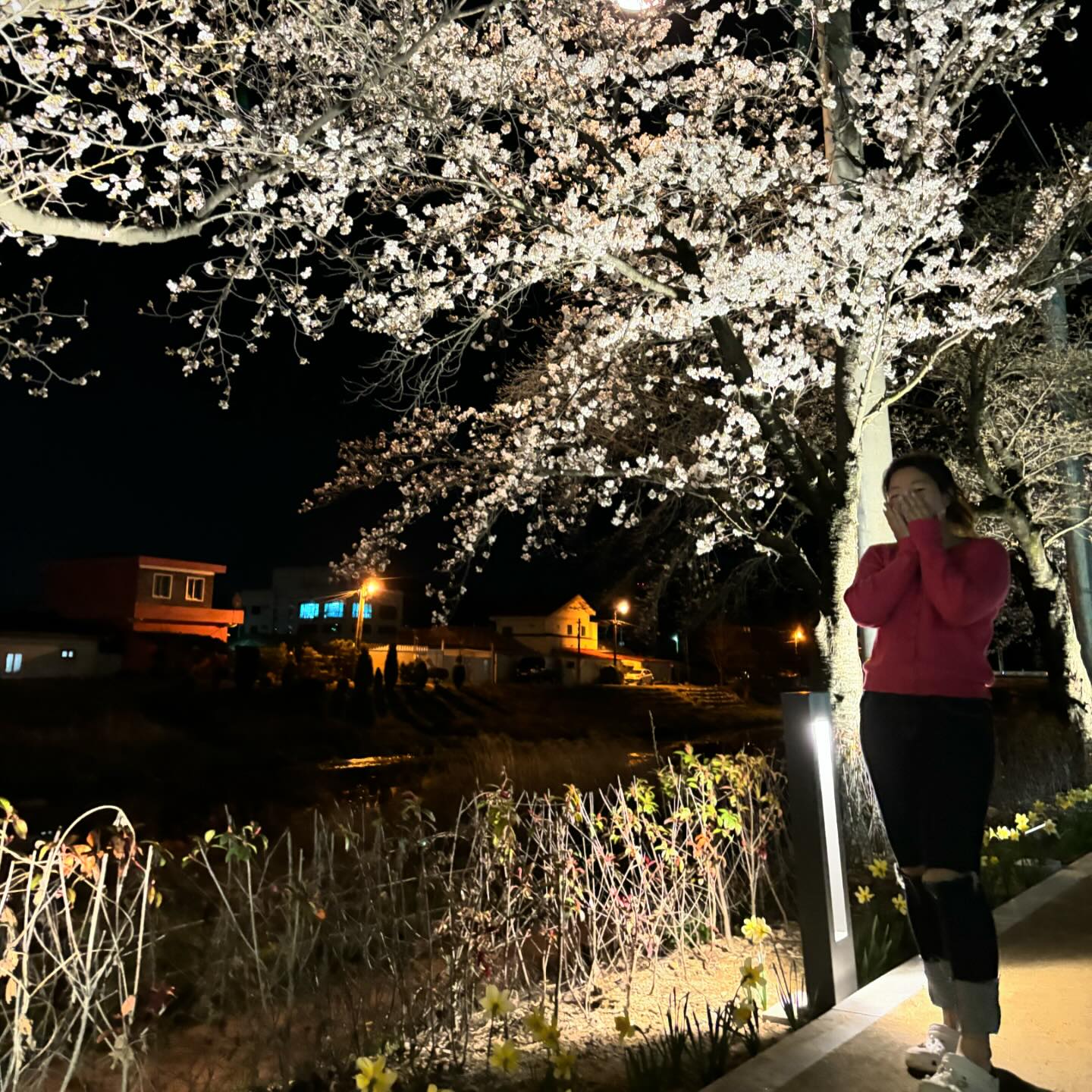 길가다 만난 벚꽃스팟🌸
기장갔다 길 잘못들어 부산찍고 구미
즉흥 벚꽃놀이 찐하게🩷
⠀⠀⠀⠀⠀⠀
#벚꽃축제 #벚꽃핫스팟 #구미벚꽃 #밤나들이
