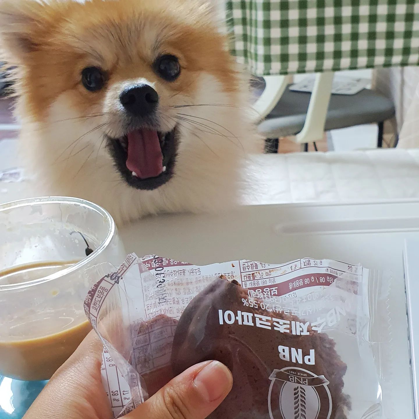 🐶

어제 라떼 짖음 훈련시키댜
현타가 너무 와서 급우울하고
눈물이 날랑말랑했는데

pt하면서 넘 힘들다보니
기분이 상쾌해지고 햅삐해졌어요ㅋㅌㅋ

왜 운동해야 되는지
너무 깨달았던 어제의 하루.. 

우울할 땐 운동해라
빡시게 하면 할수록 잡념도
슬픔도 생각이 안나더라..
세우교훈...✨️

다들 우울은 날려버리고
상쾌햅삐한 하루 되시길❣️

#한입만 #왜니만먹는데 #옴뇸뇸 #혼자만또먹지 #신혼쀼 #신혼생활 #육견일기 #운동의필요성 #정신이맑아짐 #어제의교훈 #햅삐