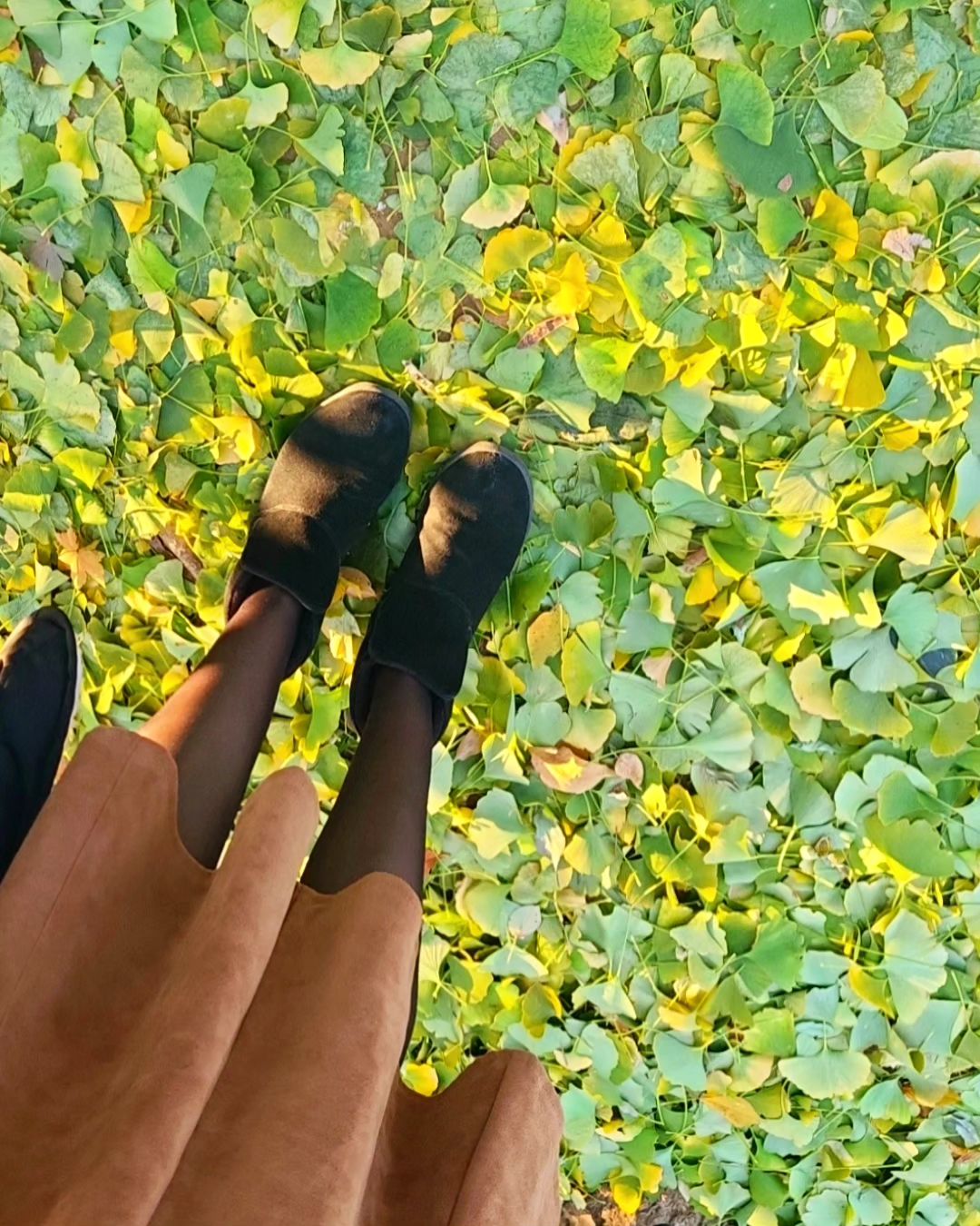 노랗게 물들기 전에 우수수 떨어진 초록빛 은행잎🍂🍃
가을을 여유있게 누리기도 전에 매서운 찬 바람과 찾아온 추위💨

계절이 급격히 변해가는 사이
완벽하고 싶은 욕심 채운다는 핑계로 진짜 목표 할일은 미루고
어쩜 실속없는 별개의 무언가로 채우고 있는 욕심바구니.
이러다 물들기 전에 떨어진 은행잎마냥 영걸기 전에 지쳐버리진 않을까
여러 가지로 계획보다 뒤쳐지는 듯한 자가 평가에 멜랑꼴리😮‍💨🫨

#요즘생각 #가을#초겨울
#스스로에게야박한편