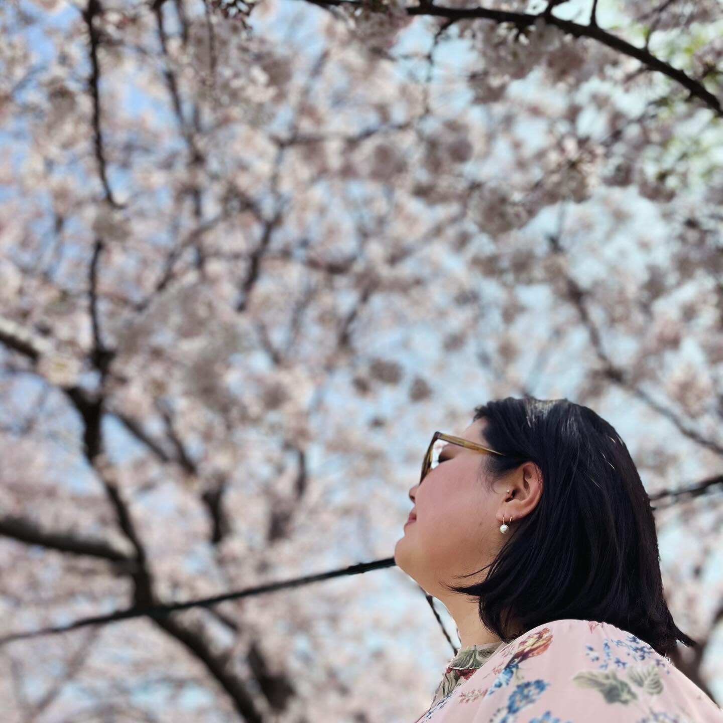 지난 주 부산!
원없이 보고 온 #벚꽃