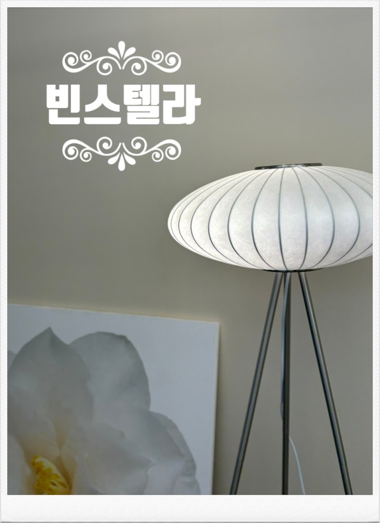 세종카페) 감각적인 인테리어 힐링 감성 카페 '빈스텔라'