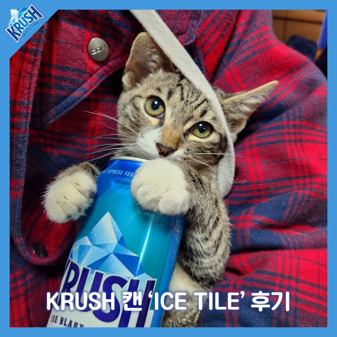 #광고 #협찬 #AD

안녕하세요,
CRUSH ON KRUSH,
롯데칠성 맥주 '크러시' 서포터즈 1기 '크러셔' 버들입니다!

크러시 병 맥주뿐만 아니라, 드디어 캔도 나왔답니다!
저는 롯데칠성에서 크러시 캔 500ml 24개를 선물받았어요.
크러시 병을 들고 있던 고양이 기억 나시나요? 이번엔 선물받은 캔을 꼬옥 안고 있어요.
그만큼 크러시가 소중하다는 것이 아닐까요?

크러시 캔을 자세히 보시면 파란 색감에 빙산 모양까지!💙🏔️
외관에서부터 크러시가 시원하다는 느낌을 받을 수 있는데요,
근데 여러분 그거 아시나요? 이런 텍스처는 *'크러시 아이스 타이틀'이라는 건데요,
크러시 브랜드 공간에 방문했던 분들은 아실 거예요:)
(크러시 브랜드 공간에 관한 글은 이전 피드와 프로필 링크에서 자세하게 보실 수 있어요!)

*'KRUSH ICE TILE'이란?
❄눈 속에서 막 꺼낸 캔처럼 눈 결정의 촉감을 표현했어요!🧊
355ml든, 500ml든 캔을 만져보면 약간의 오돌토돌한 게 느껴지실 거예요.
요즘같이 날씨가 갑자기 추워졌을 때,
밖에서 음용하시거나 냉장고에 잠깐 두고 마신다면
시각적으로도, 촉각적으로도, 미각적으로도 시원하고 청량하다는 느낌이 세 배로 느껴지실 거예요.
 
친구와 함께 눈사람을 만들고 잠깐 눈에 꽂아 두었던 크러시를 마셔도 시원하고,
집에 와서 일을 마무리할 때 간단한 안주와 함께 마셔도 시원하고,
친구와 카메라를 켜고 짠 해도 시원함을 느끼실 수 있어요.

NEW WAYS, EXPRESS YOURSELF, STAY COOL.!
4세대 대표 맥주 크러시를 즐기며
멋지게 자신을 표현할 수 있게, 그리고 시원함을 유지해보는 것은 어떨까요?
🍺🍻🍺🍻🍺🍻
#크러시 #크러시맥주 #krush #krusher

- 지나친 음주는 암 발생의 원인이 됩니다. 청소년 음주는 성장과 뇌 발달을 저해하며, 임신 중 음주는 태아의 기형 발생이나 유산의 위험을 높입니다.

*본 콘텐츠는 롯데칠성 주니어 마케터 크러셔 활동의 일환으로서 소정의 지원금을 받고 활동 및 작성된 내용입니다.