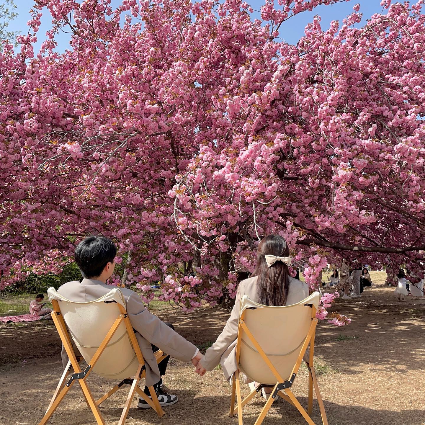 ⠀
경주 기록🌸
4월 경주는 너무너무 행복 그 자체✨
⠀
1~2 경주 겹벚꽃, cg같은 겹벚꽃에 감탄 500번쯤🥹
3 첨성대, 튤립 막차타서 넘 예뻤던 첨성대
4 베이글베이글러, 유채꽃뷰 + 베이글도 맛있음🥯
5 노워즈, 나도 먹어봤다 ‘엑셀런트 라떼’💕
(그리고 드디어 머그컵도 샀구😎ㅋㅋㅋ)
6 소바카게, 마제소바
7 경주소옥, 운좋게 웨이팅 지옥 딱 피했음🥲
8 카페 솔, 🎋🎋
9 바실라 유채꽃, 허리까지 오는 유채꽃밭🌼
10 군것질, 10원빵 쫀득이 옼수수 교리김밥 경주쿠키🐷
⠀
⠀
10장에 다 못담은 불국사 다보탑, 대릉원, 황룡원,
황리단길 2박 3일 알차게 놀았다💃🏻
오랫만에 왔더니 변한곳도 많아서 놀랐지만
사계절 다 담으러 자주 오기로 결심했다,
너무 좋은 경주💚
⠀
⠀
⠀
