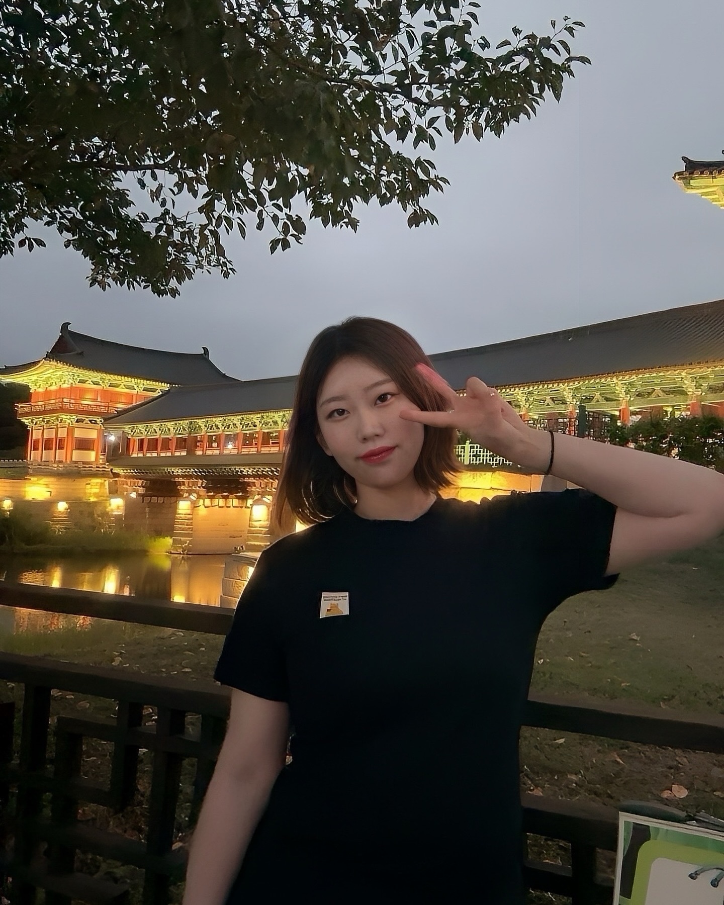 경주🌙

#경주여행 #월정교 #경주야경명소
