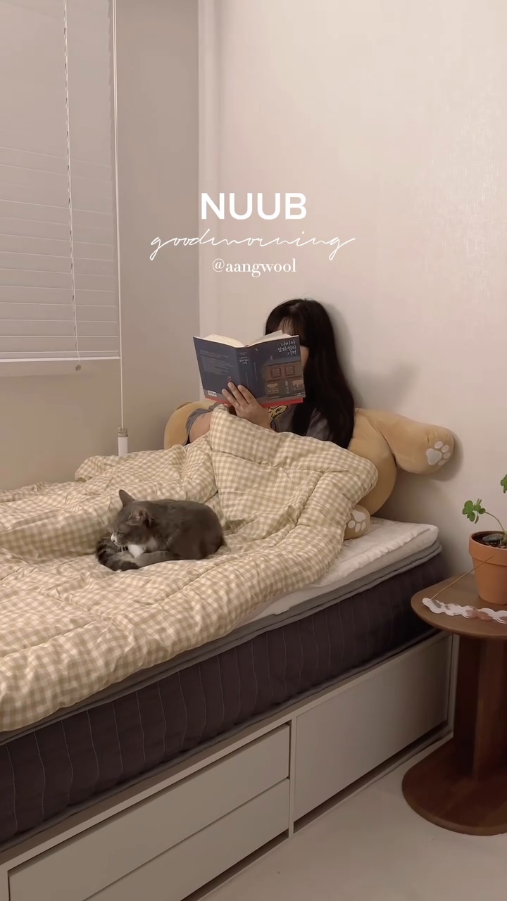 thanks to nuub.kr 🤍