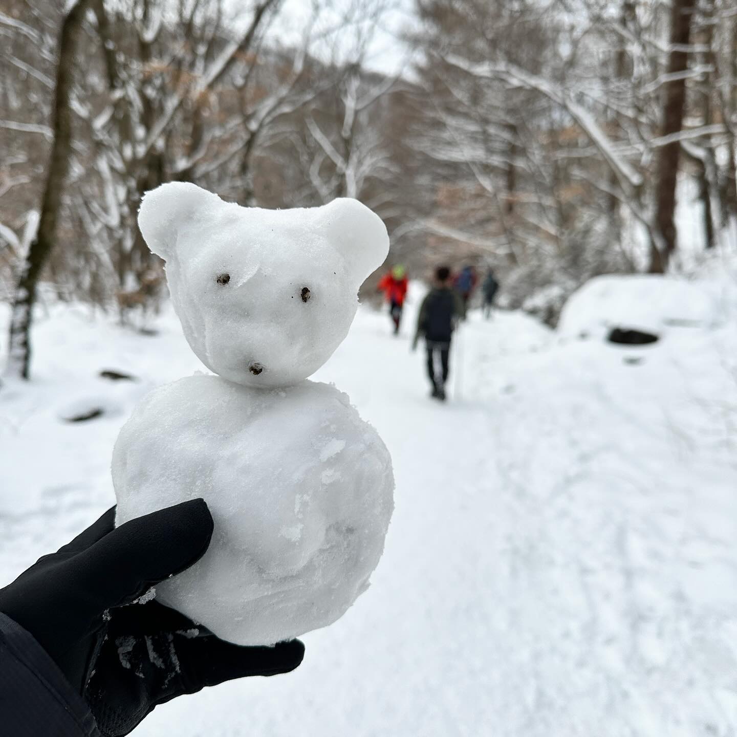 #곰사람
하산길 만들던 도중
모가지 낙상 - goodbye 마이베어🐻
잠시라도 반가웠담

졸라빡센 한주예상
바쁘게 보내고 주말을 즐기리라

#다음생엔먼지로태어나야지 
#소백산 #소백산하산 #눈사람만들기☃️
