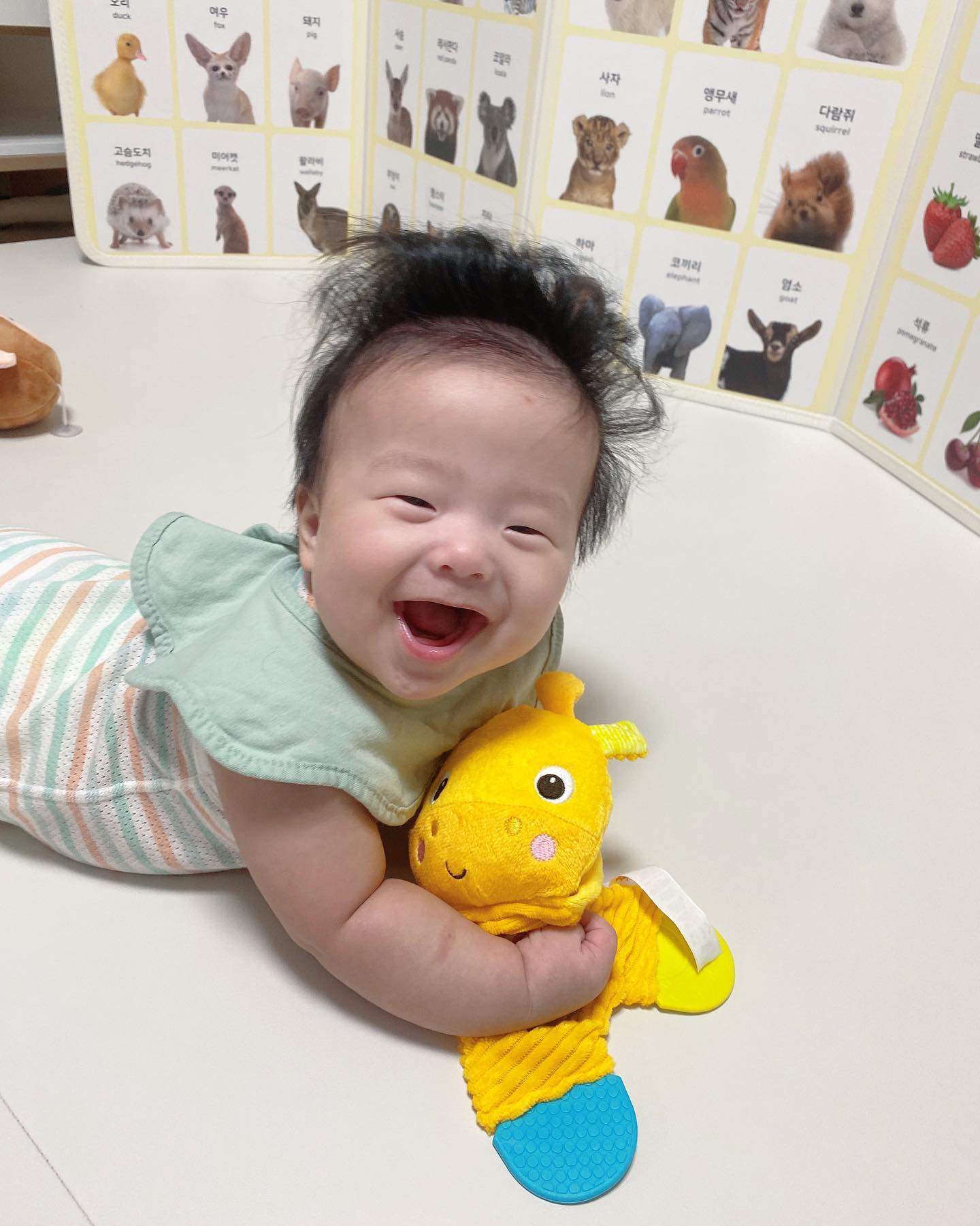 인형 조아☺️😊💛
.
.
.
.
.
#도치맘 #인형조아 #귀염댕이 #사랑해