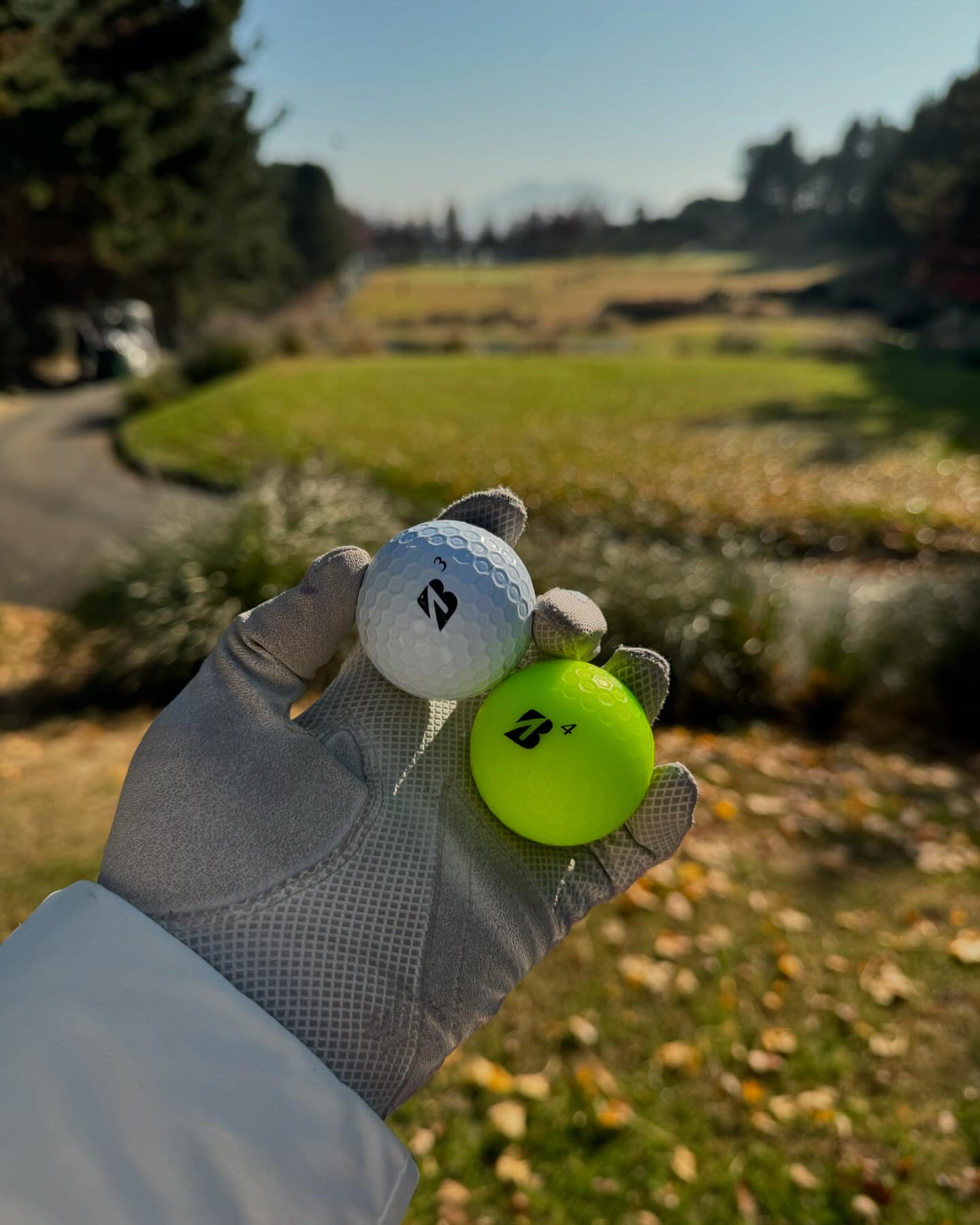브리지스톤 사랑은 4년째💚🤍🐥
골프공 고민되신다면 브리지스톤하세요 😁

⛳️뛰어난 안전한방향성의 비거리와 웨지스핀가능한 B 💙

bsgolfkorea 

나요 올해도 시즌아웃 없어요🥶
주말내내 야간,새벽골프치다...추워서 이건아니다싶어 깜짝 놀랬지만, 발이 너무 시려웠지만, 핫팩을 손에서 놓을 수 없었지만, 콧물이 계속 나왔지만, 남편옷을다뺏어남편이추웠지만, 뒷땅쳐서 엘보가아프지만, 뜨아사자마자아아되었지만, 친구녀석골린이라겨울골프도쳐보고싶다고해서 눈와도나갈예정이지만 난 할 수 있다! 

털부츠골프화 사야될거같아......... 🫠🫠❄️❄️❄️

#골프#겨울골프#골프용품#골프공#골프공추천#골프의류#golf