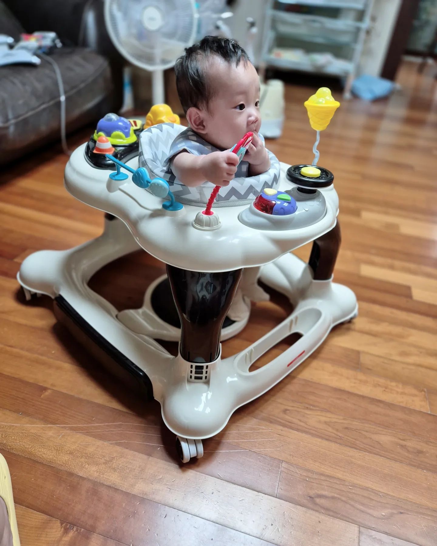👶🏻
우리아기가 엔픽스보행기 넘넘 좋아해서
친정갈때도 갖고다녀요 ㅎㅎ 

엄마껌딱지, 등센서 때문에 하루종일 앉고있었는데
엔픽스 롤링360이지보행기 태워주니까
꽤 오랜시간 앉아서 놀더라구요 💕

특히 이것저것 만지고 놀거리가 많으니까
아기가 좋아하는것 같아요!
보행기모드, 소서모드, 시소모드, 점퍼루모드 
4in1 이 가능하니까
아기 균형감각이나 대근육 발달에도 굿굿굿🙌🏻

#엔픽스 #보행기 #엔픽스보행기 #롤링360이지보행기
#우리아기첫보행기 #우리아기최애템
enfixtagram