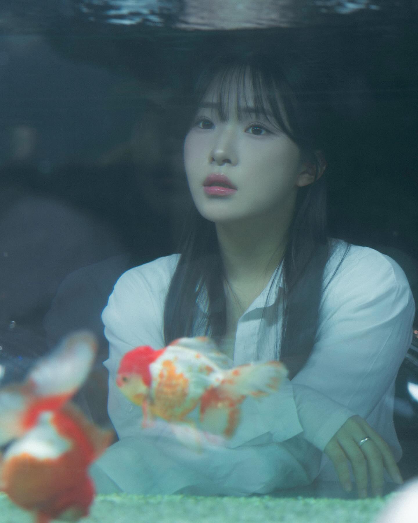 나의 바다