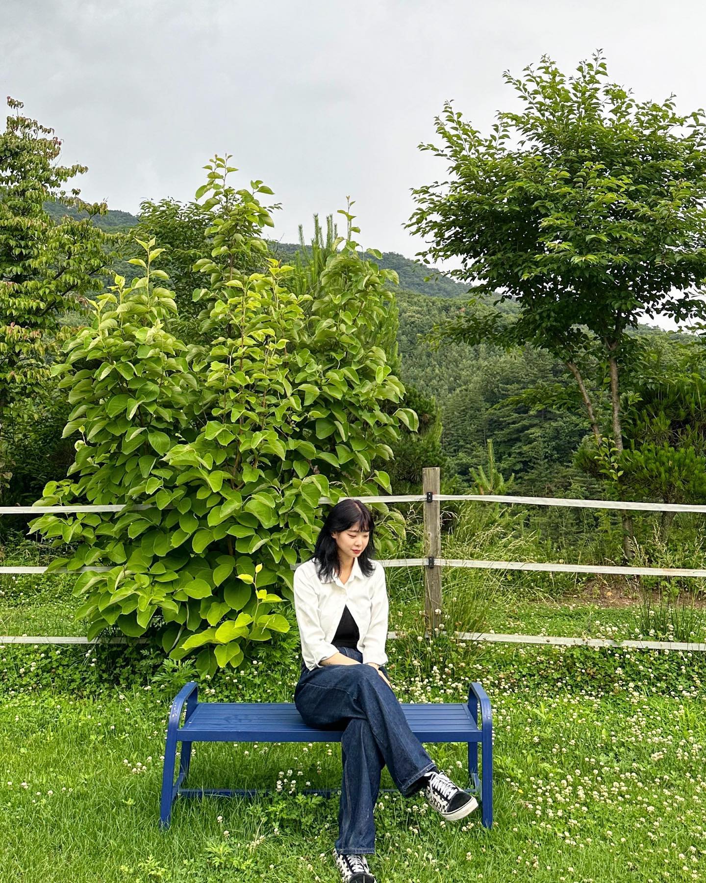 🍃