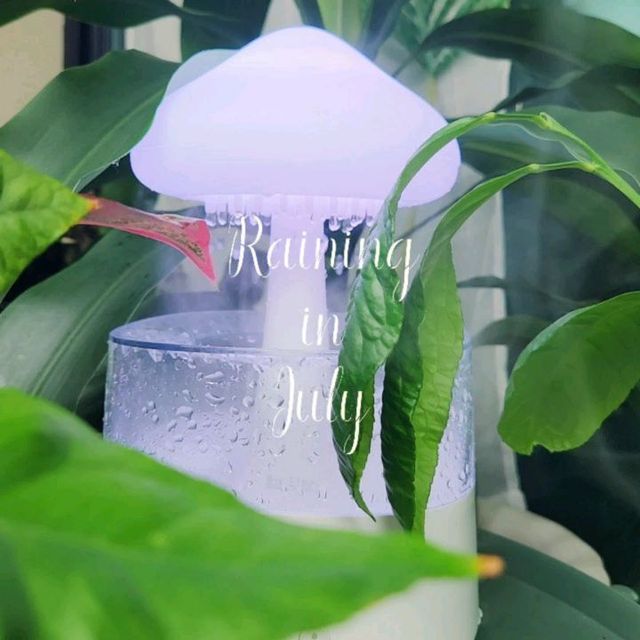 인플루언서 옐킈🩷 on Instagram: "#광고 #물멍 #무드등 #asmr 이건 소리키워 꼭 들어보기요 🌧☔️ ⠀ 선물이나 용돈을 받는것도 즐거움이지만 소소한 즐거움 중 하나는 빗소리를 들으며 남편