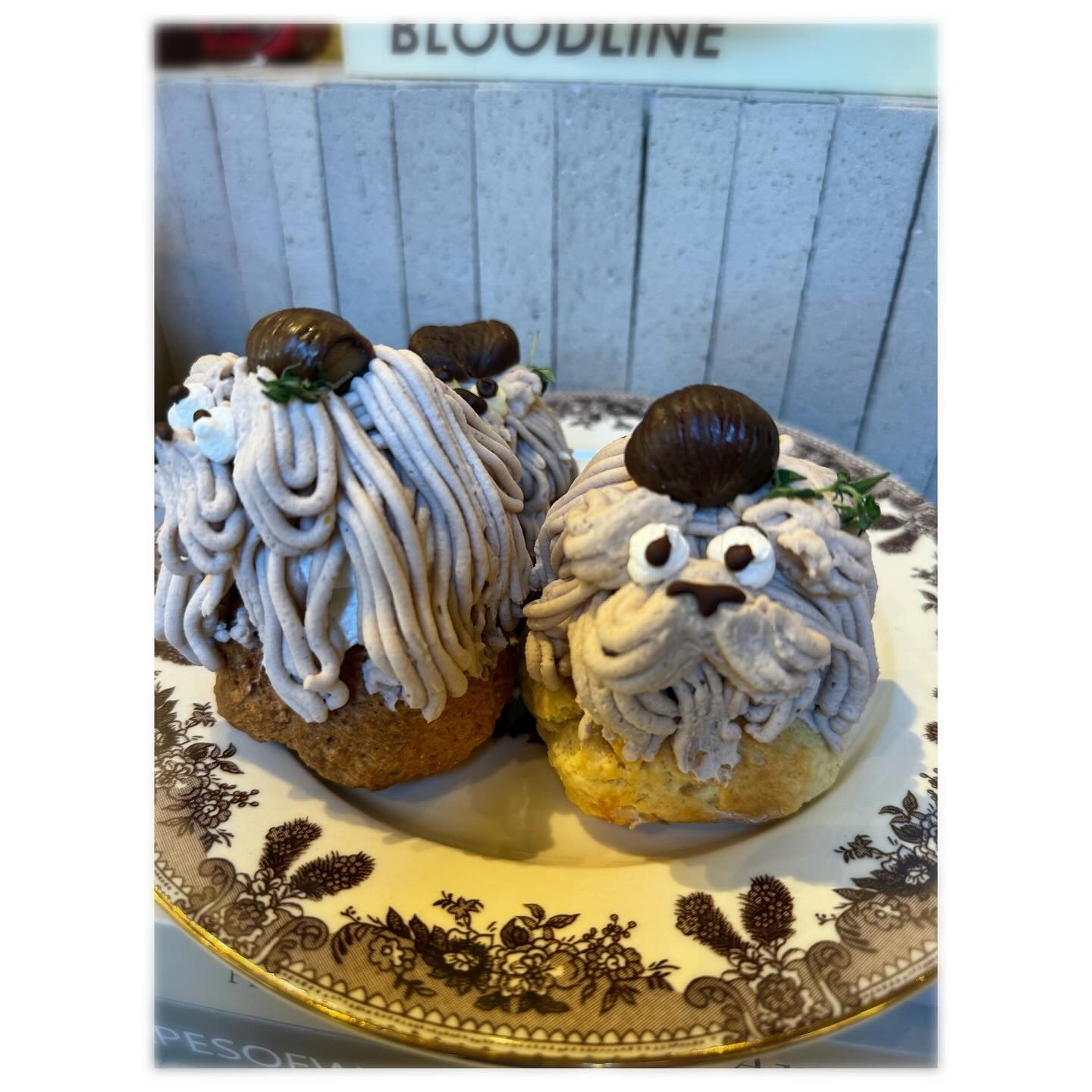 ⠀
오사카 주유카드덕에 
부지런함을 더욱 발휘🥰
레트로 카페거리 나카자키쵸☕️🍰🧁
이른시각에 가서 문연곳이 많치않았음🥺
한시이후에나 가야할듯😔
골목길 너무예쁨😍
😽냥이를 주제로 한 카페들이 꽤 보임😘
넘 귀욤한스콘카페 발견해서 맛나게 먹음.
근데,왜 다들 현금결제???😒
.
.
#여행에미치다 #여행에미치다_일본 #여행스타그램 #오사카여행✈️ #먹방투어 #카페투어 #나카자키초카페거리 #나카자키초스콘카페 #오사카주유패스 #이만오천보👣 #일상기록📷
