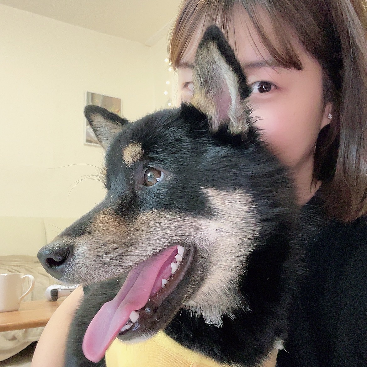 탄이 바보..🐶
카페트도 뜯고 혁진이 베개도 뜯고 장난감도 뜯고 다 뜯고 맛보는 요즘🐶🤔