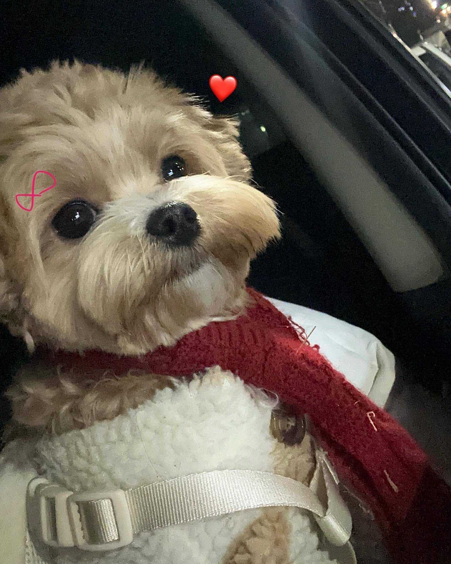 🎊 Happy New Year 🎊
앙 다문 기여운 내 입술만큼 새해 복 많이 받으세욤❤️