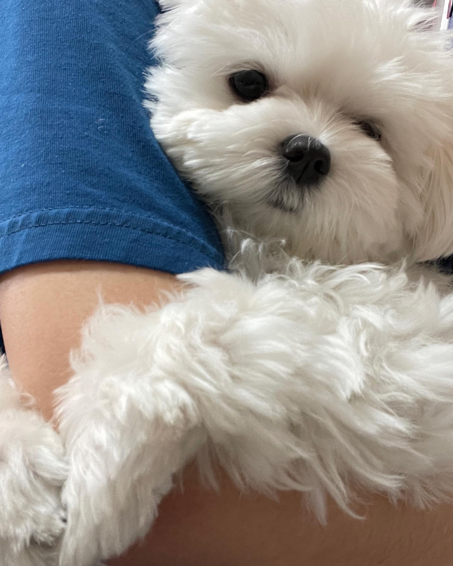 누나 내꼰데?