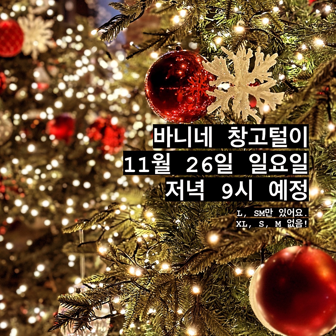 #바니네창고털이 

SM사이즈의 경우 품절되서 못구히는
코지앤 퍼를 포함한 디포독, 루이독 등
비싼 라인업도 있음. 근데 이거들은 떨이 아님..

See you soon 😚