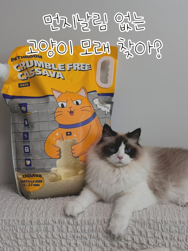 먼지 날림 없는 고양이 모래 찾는다면? 페스룸 카사바 고양이 모래로 정착하자