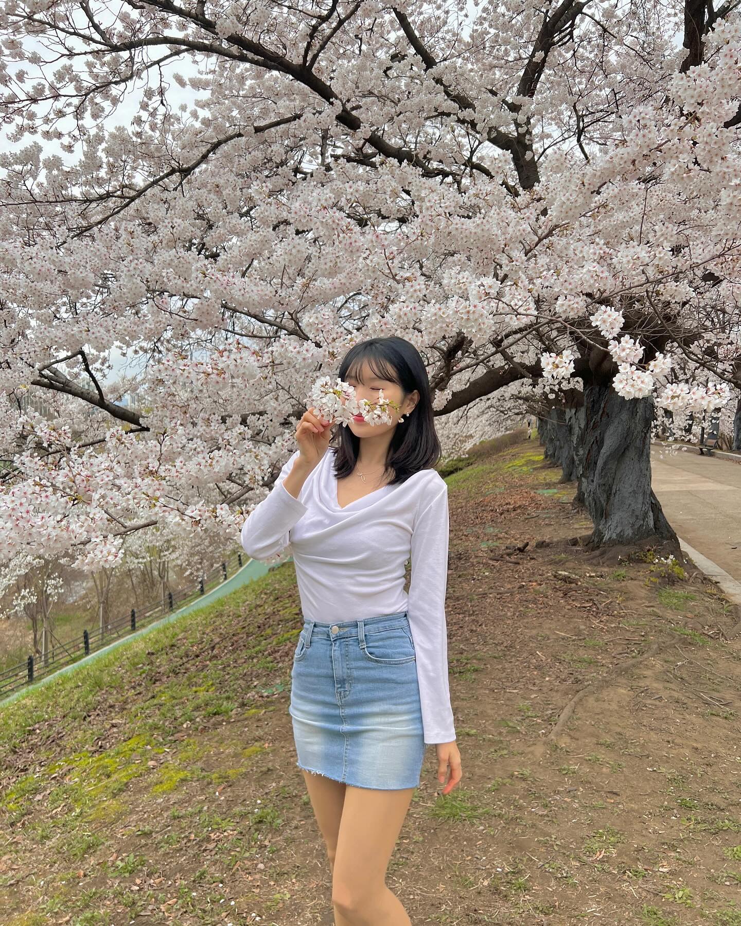 항상 시험기간 땜에 석촌호수 근처 2n년 살아도 
가까이 본 적 없었던 활짝 핀 벚꽃과의 첫 만남🌸✨🎀🌷
⁽ ¨̮⁾⁽¨̮ ⁾*˚‧♡