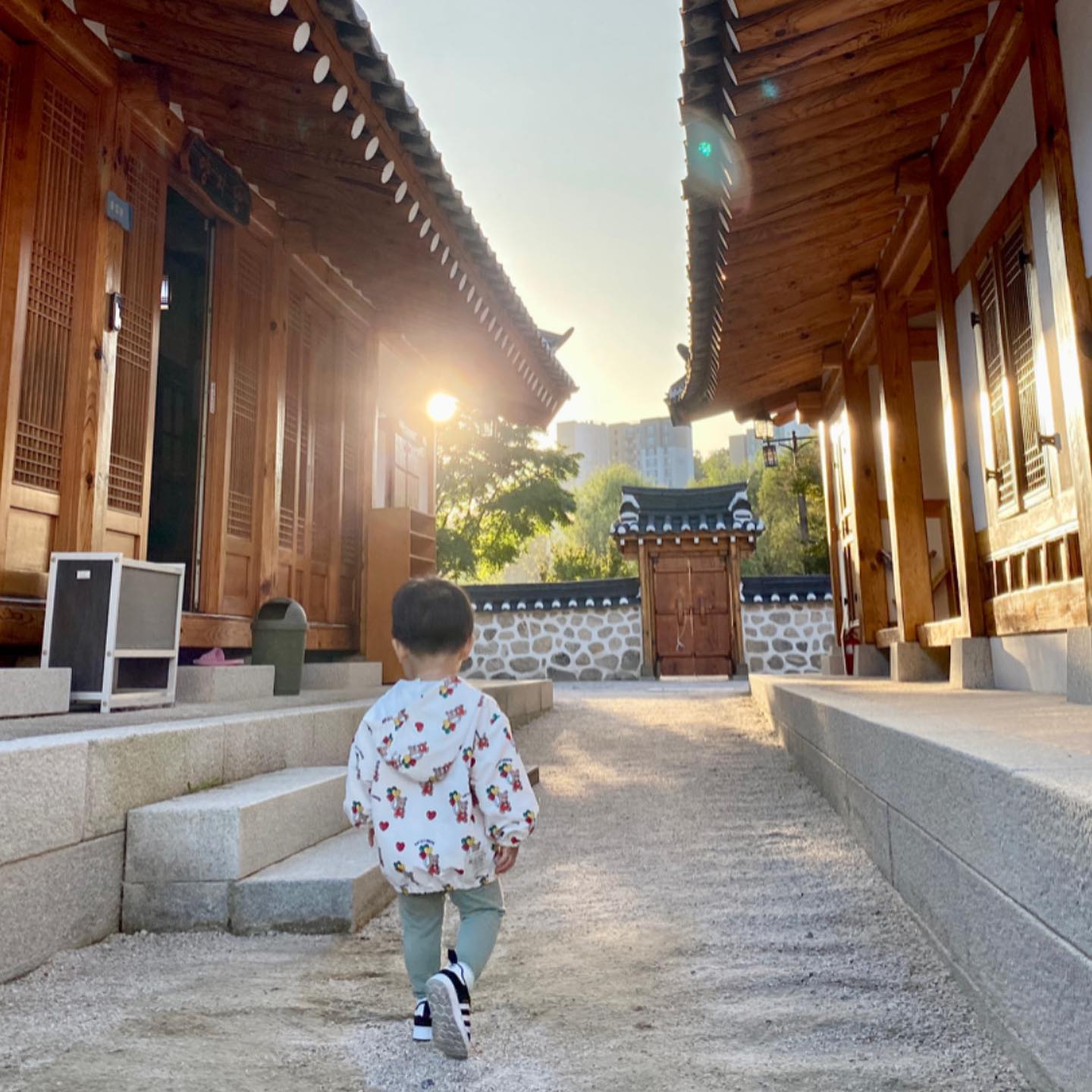 동네에 한옥어린이도서관이 있어서
오늘 처음 가본 날.

늦게가서 산책만 하고 왔다만
다음엔 책도 보여주고 와야겠다.

지하철 없고, 유해시설 없이
소소하게 즐기는 자연 일상이 있는
숲세권 우리동네 🌿

점점 정이 들어간다 ㅎㅎㅎ

#깨동18개월 #깨동엉님
#못골도서관 #못골어린이한옥도서관