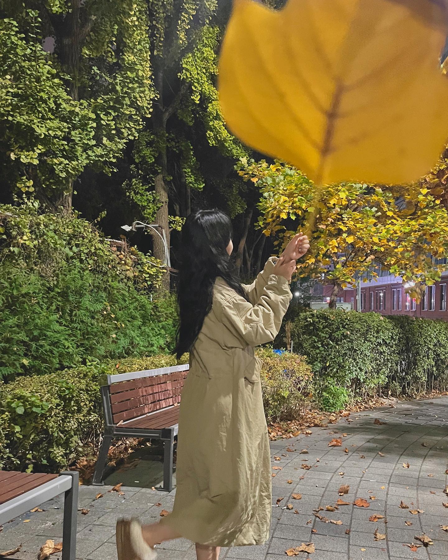 #대왕단풍샷 🍁🍂😗