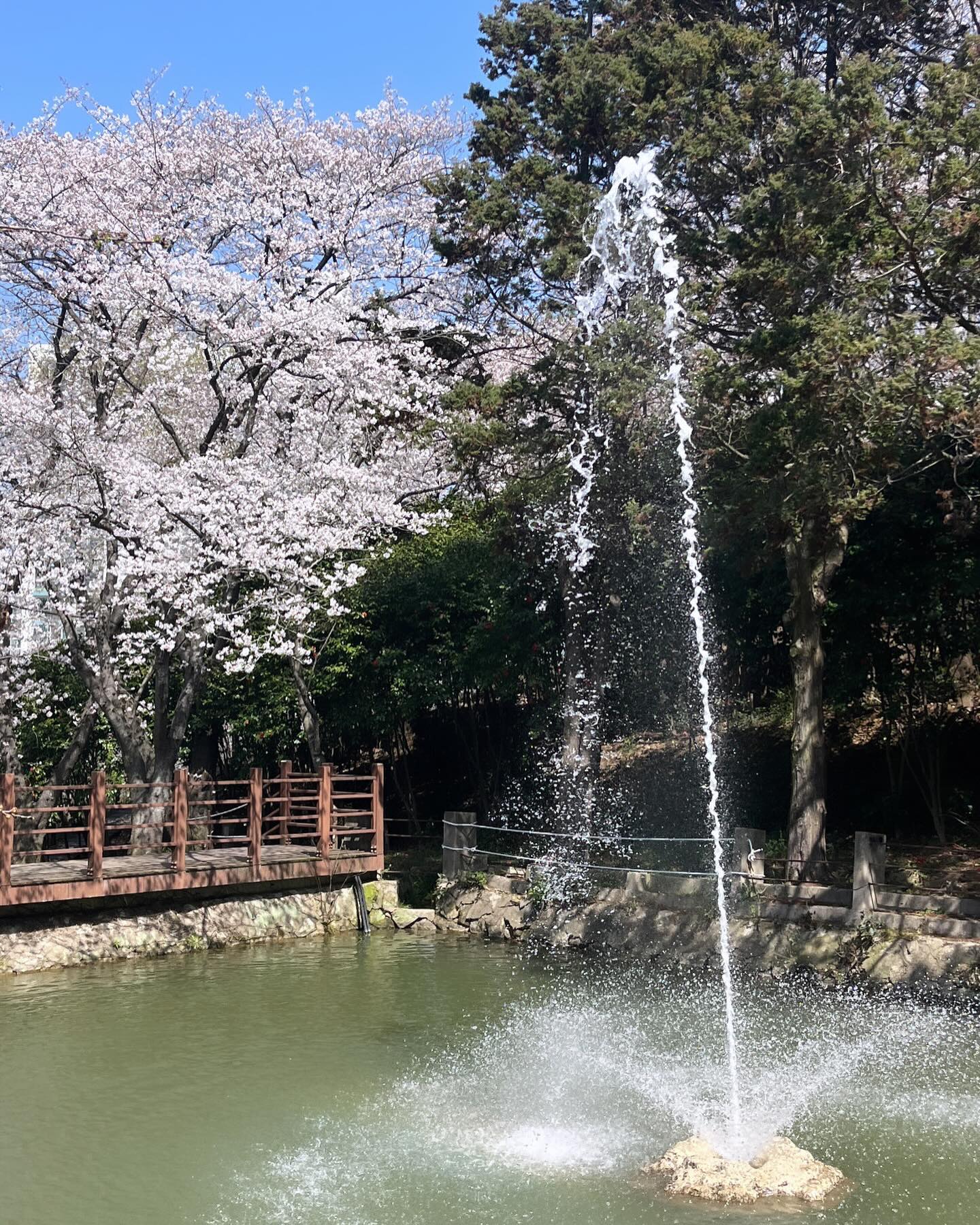 거짓말처럼 예뻤던 비밀의 정원 🌸