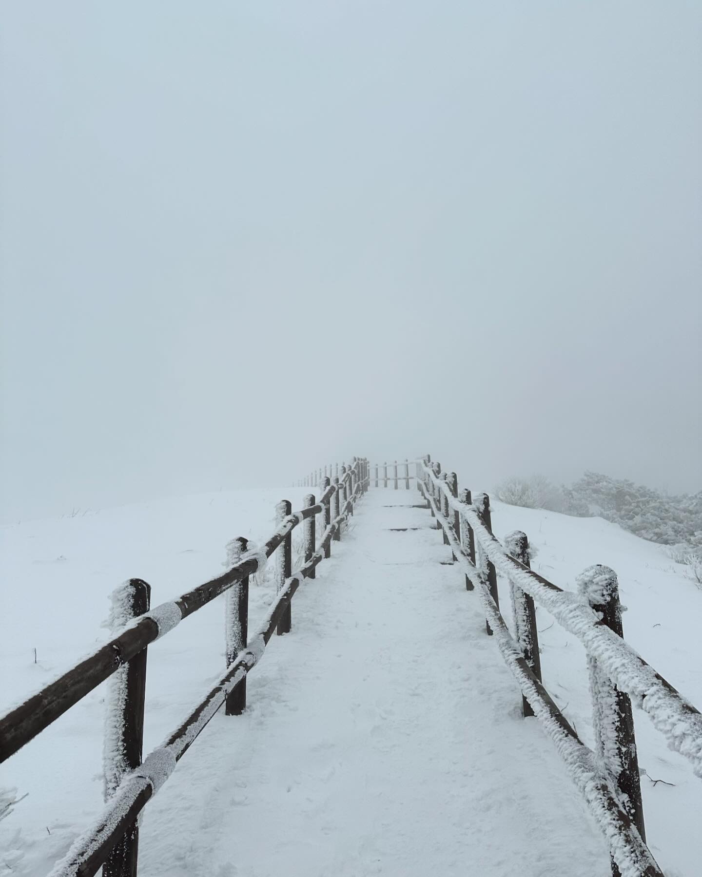 #240210 소백산🏔️
겨울산은 처음이지만
뿌옇던 산도
소백산도 나는 다 처음

뭐든 처음이 어렵지 
올 겨울 산행으로 조금은 성장했길🐻

#100대명산 #100대명산도전중 #소백산 #소백산국립공원 #등린이⛰
