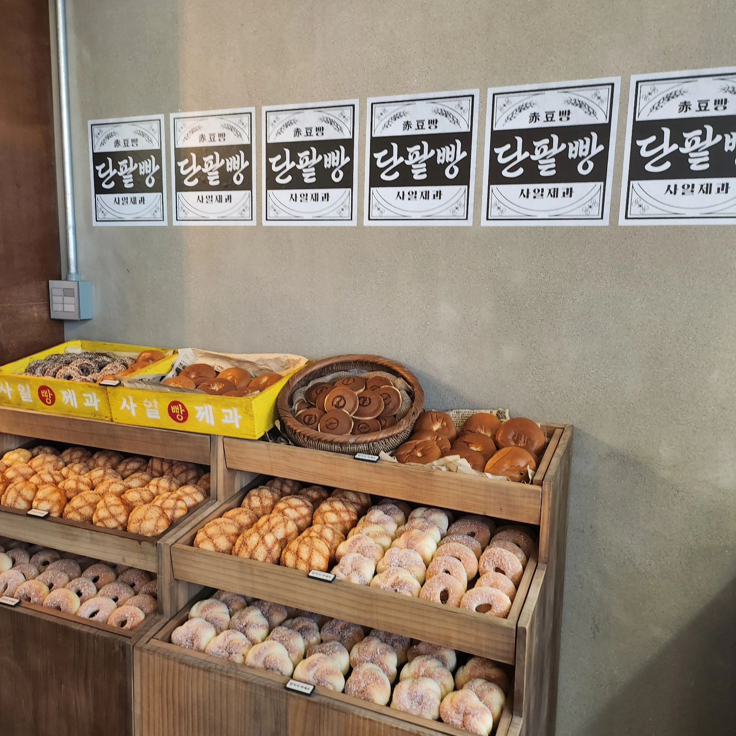 #디즈니플러스 #삼식이삼촌 #삼식이삼촌팝업