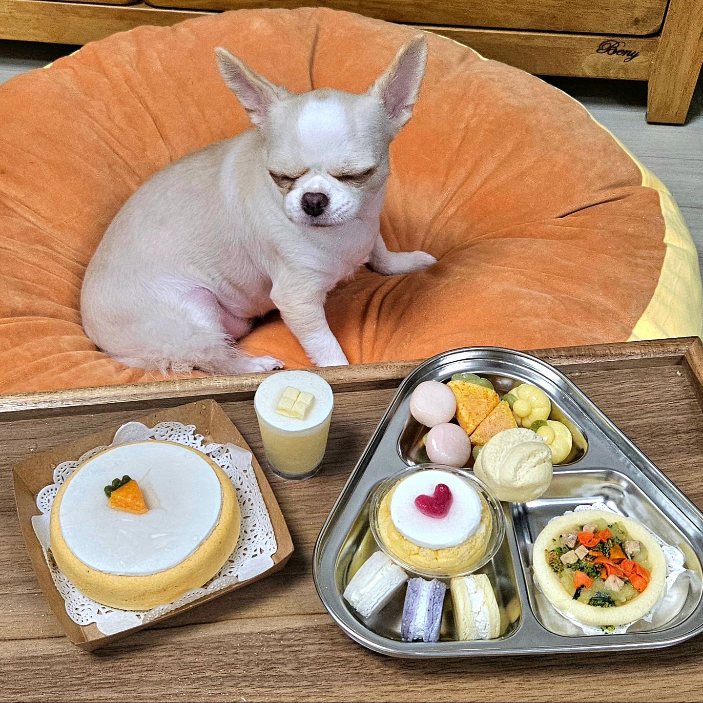 울애기 5살 생일 파티 성공🥳❣️ 

#치와와 #생일상차림 #반려견그램 #치와와그램 #주말