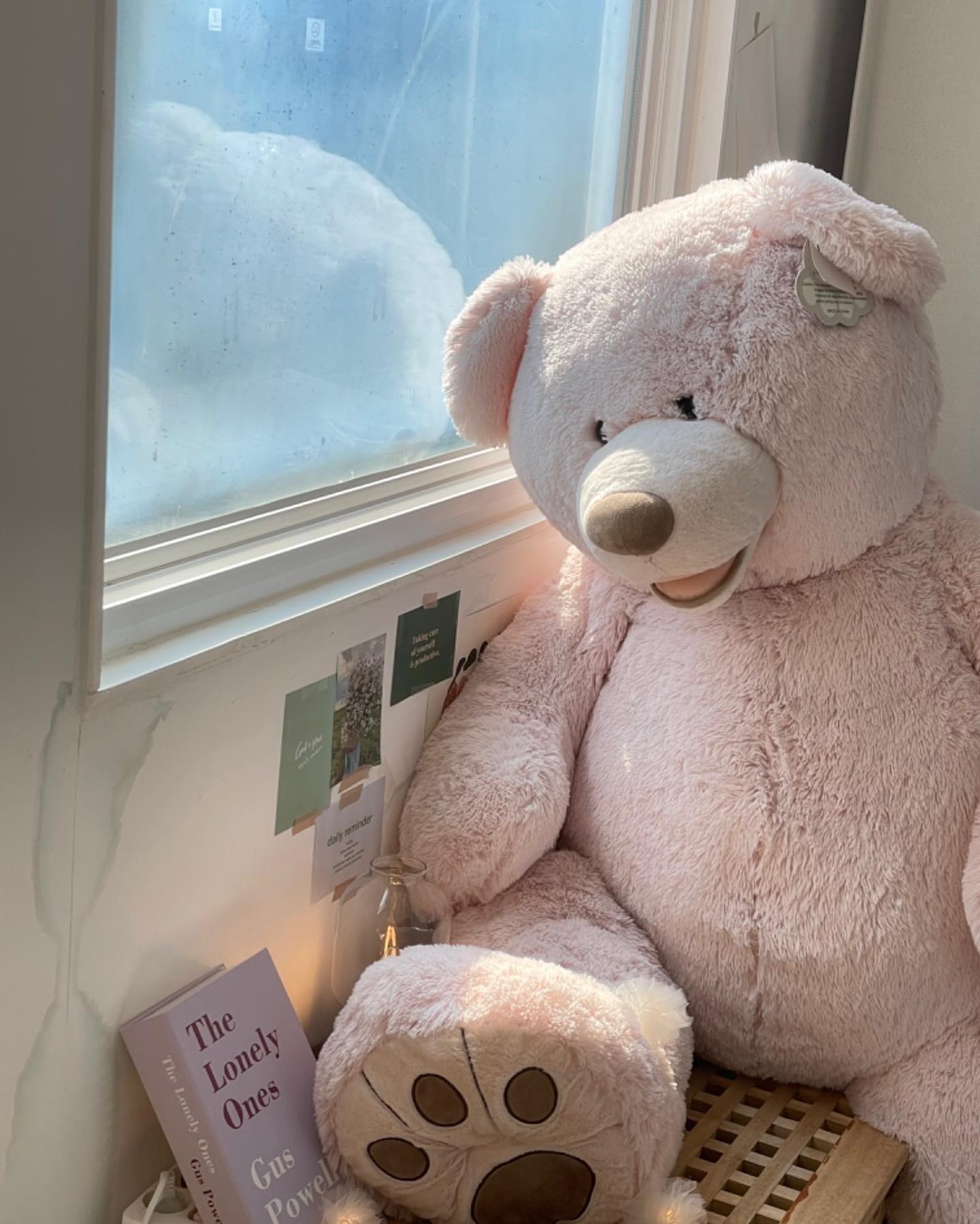 🐻