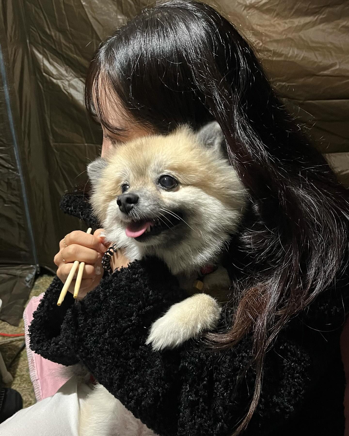 몽이랑 청이랑 캠핑 둘이 커플 후리스 조끼 입어쨔롱 〰️