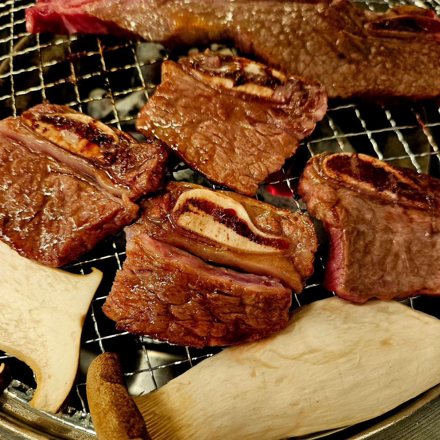 몇일전부터 LA갈비가 너무 먹고 싶어서⠀
퇴근후 부랴부랴 달려감🫰⠀
⠀
LA꽃갈비 500그램 29,900⠀
소갈비살  250그램 16,000⠀
⠀
고기질 너무 좋은데 가격까지 미쳐버림☺️⠀
⠀
수입육 등급 중 최상급인 프라임 등급만⠀
사용해서 그런지 입에 넣자마자 녹아버렷...🤤⠀
⠀
사이드 비냉에 비빔국수,된찌까지⠀
넘나 맛있어서 과식하고 옴..👏👏⠀
⠀
⠀
⠀
#상계역맛집#상계역소고기#현방오백소갈비살상계#중계동맛집#LA꽃갈비