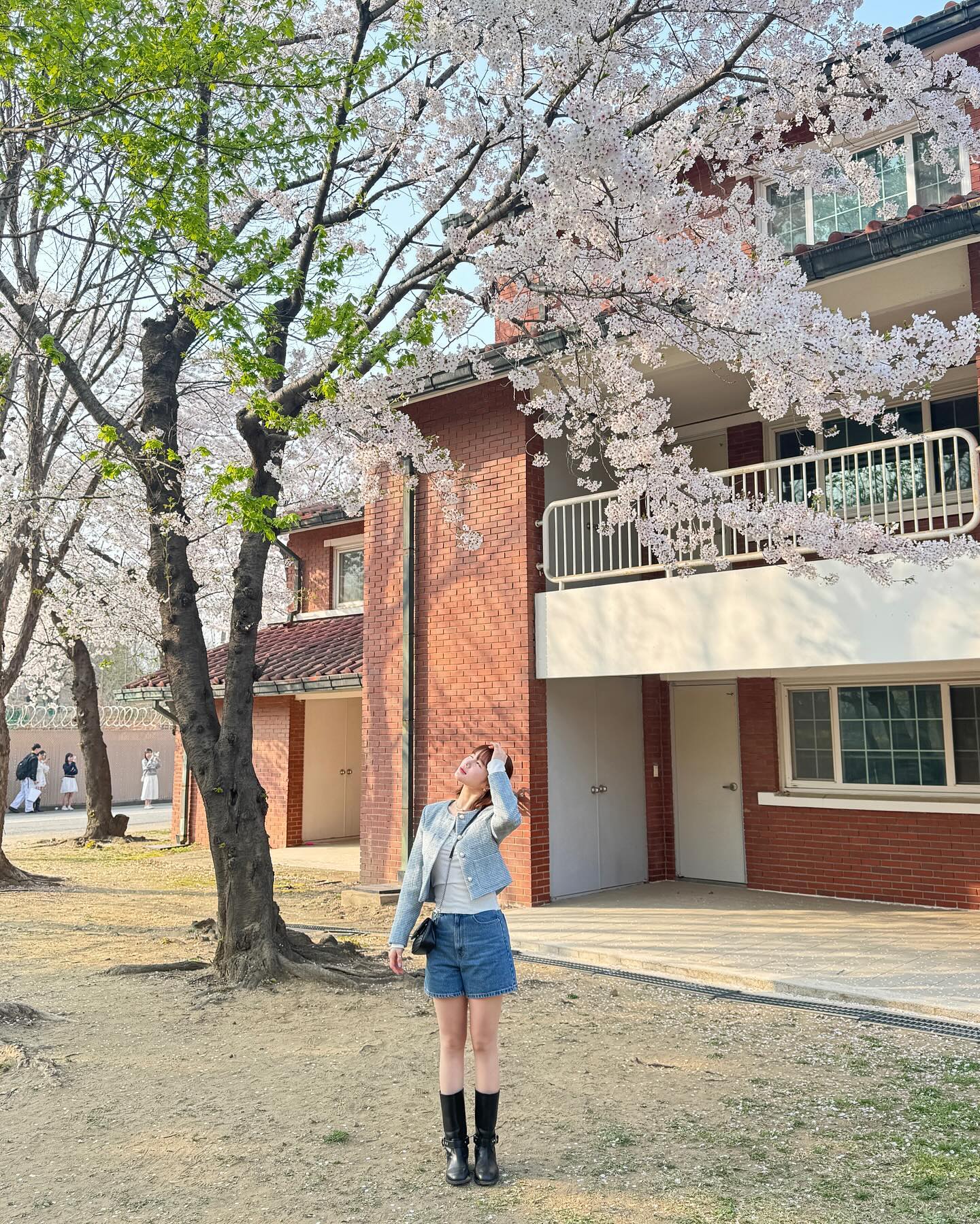 ⠀ 
당장 용산공원에 가야하는 이유💞

⠀ 

⠀ 

⠀ 

⠀ 

#용산공원#용산공원미군기지#용산가족공원#벚꽃명소🌸 #벚꽃스타그램