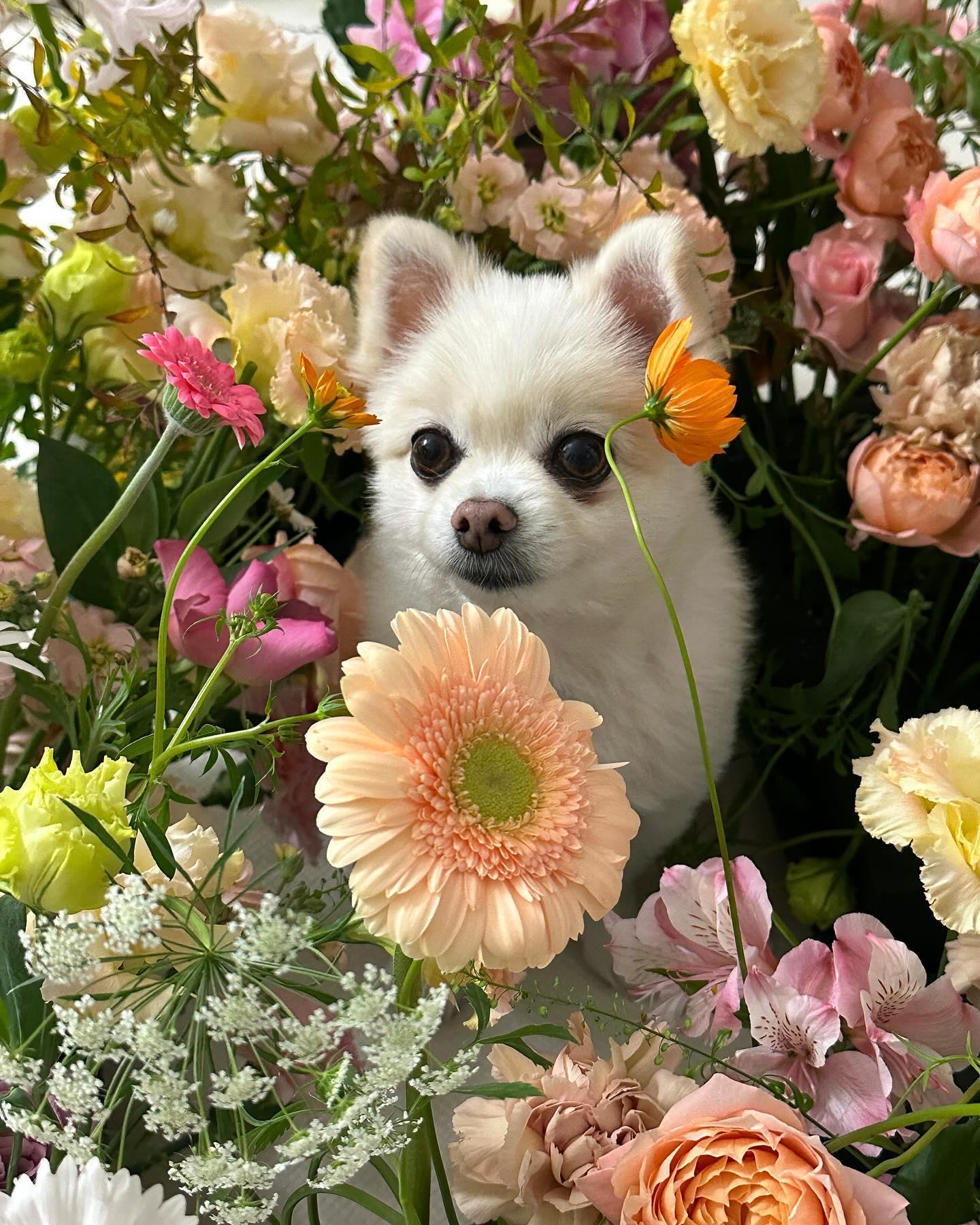 내 전부🫶🏻