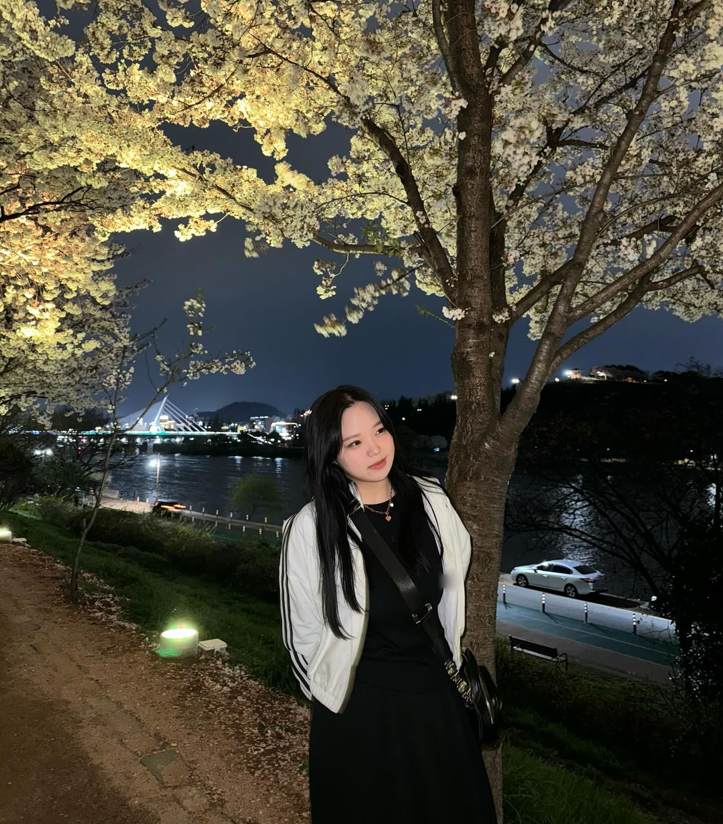 🌸
