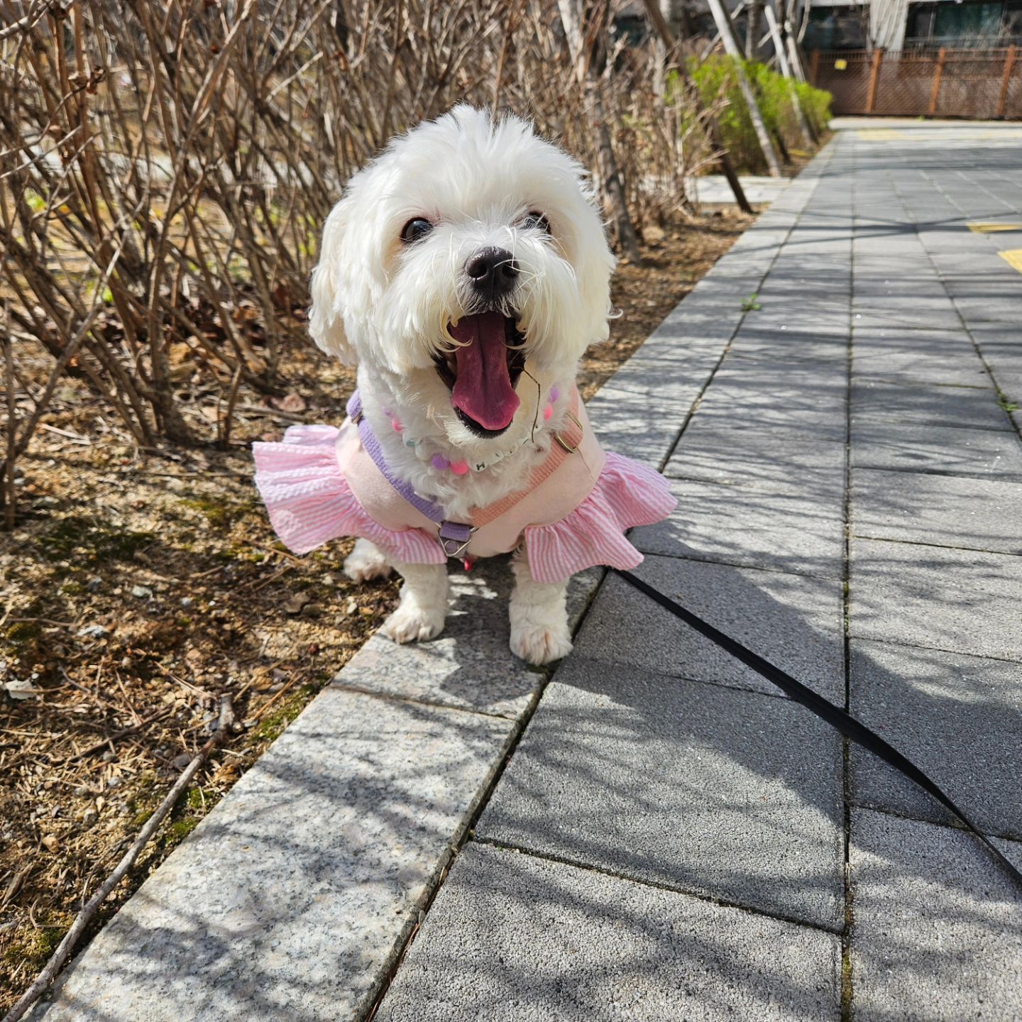 사진만 찍을려고 하면
하품하고 눈감고.. 차암나~~
싫으면 싫다고 말을 해라!!ㅋㅋㅋㅋ

.

#사진찍기시른개냥이