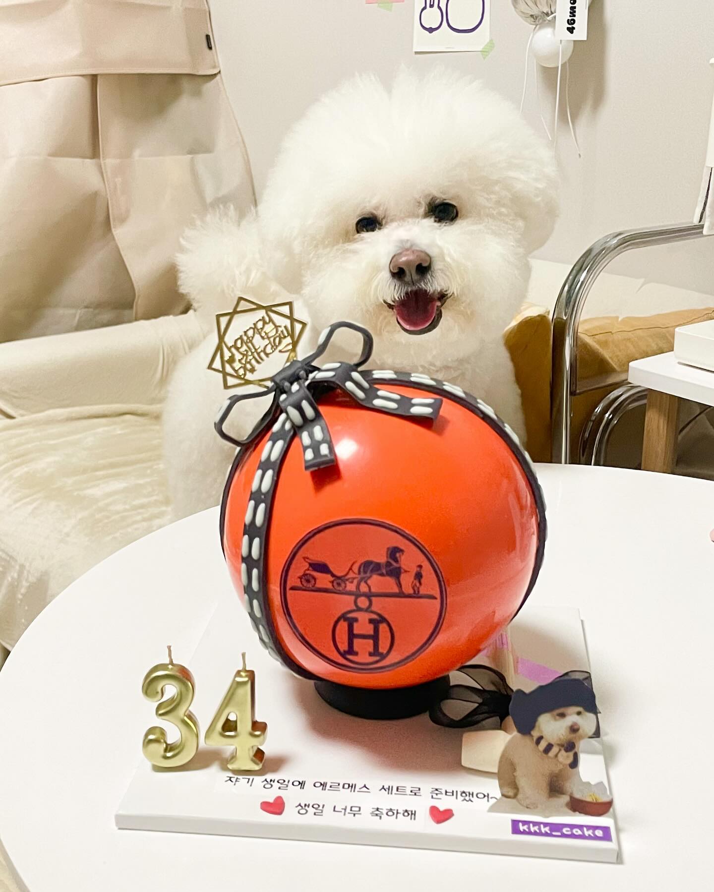 -
크크 생일 축하 감사합니당🫶🏻
이번 생일은 오빠 덕분에 오렌지로 가득 했다능🧡
진짜 엘메도 감동이였는데 이리 케이크까지 ㅋㅋㅋㅋㅋㅋ
아 진짜 개웃기네 ㅋㅋㅋㅋㅋㅋㅋㅋ 아 너무 웃엇네
케이크 망치로 치다가 안되서 중간에 급 빡쳣지만 ㅋㅋㅋㅋ
아주 갬덩스런 생일이였어효🧡
(근데 만나이잖아.. 나 33살이햐… 남치니찌키야)
.
.
#다음은가방이햐😜
#hbd