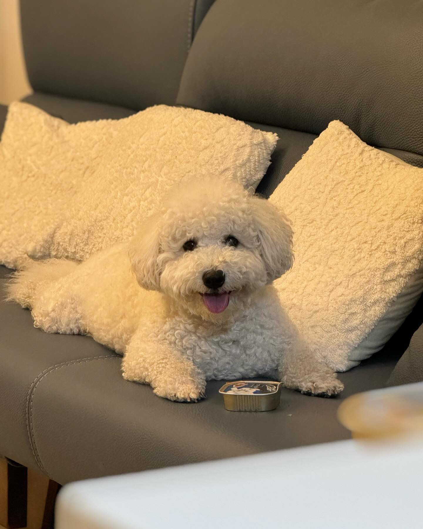 😛