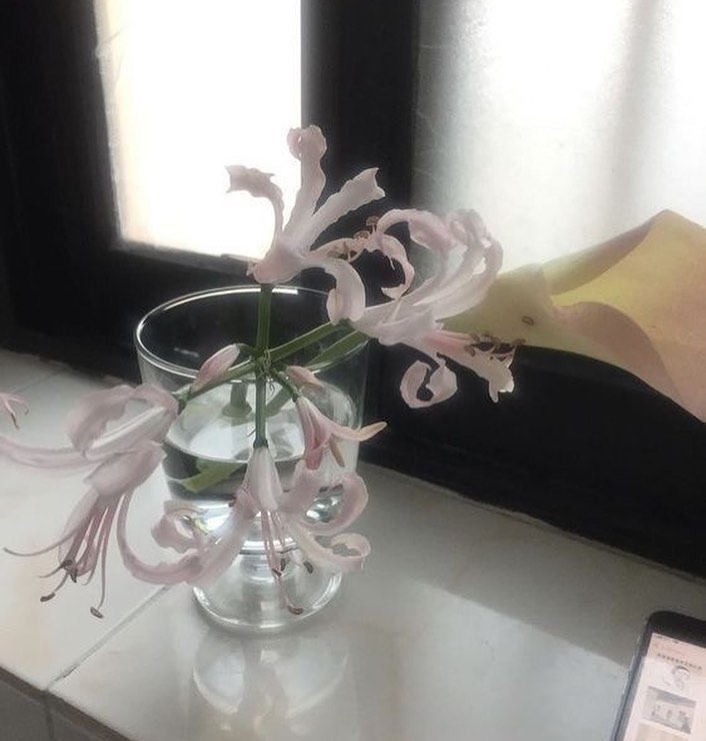 콘텐츠