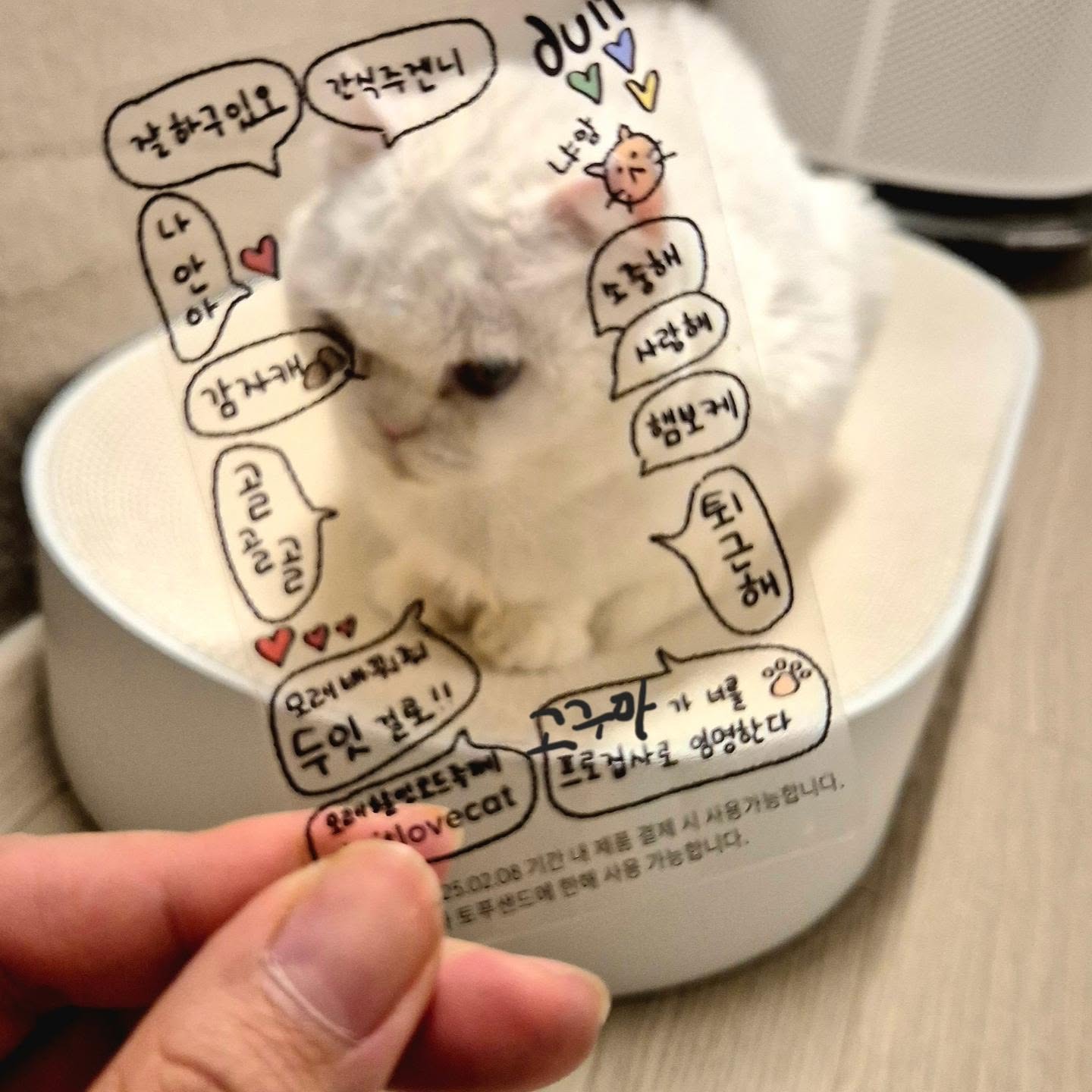 duit_korea

두잇 스크래처 가져오자마자
고구마 자리차지:)
편안하니~!?

투명카드랑 같이 찍고싶은데... 초점 맞추기 넘어렵
ㅜㅜㅜ

매번 보던 스크래처
마지막날가서 알뜰하게 겟!!!

#두잇 #2024궁팡 #두잇궁팡2024 #두잇스크래처
#두잇궁팡