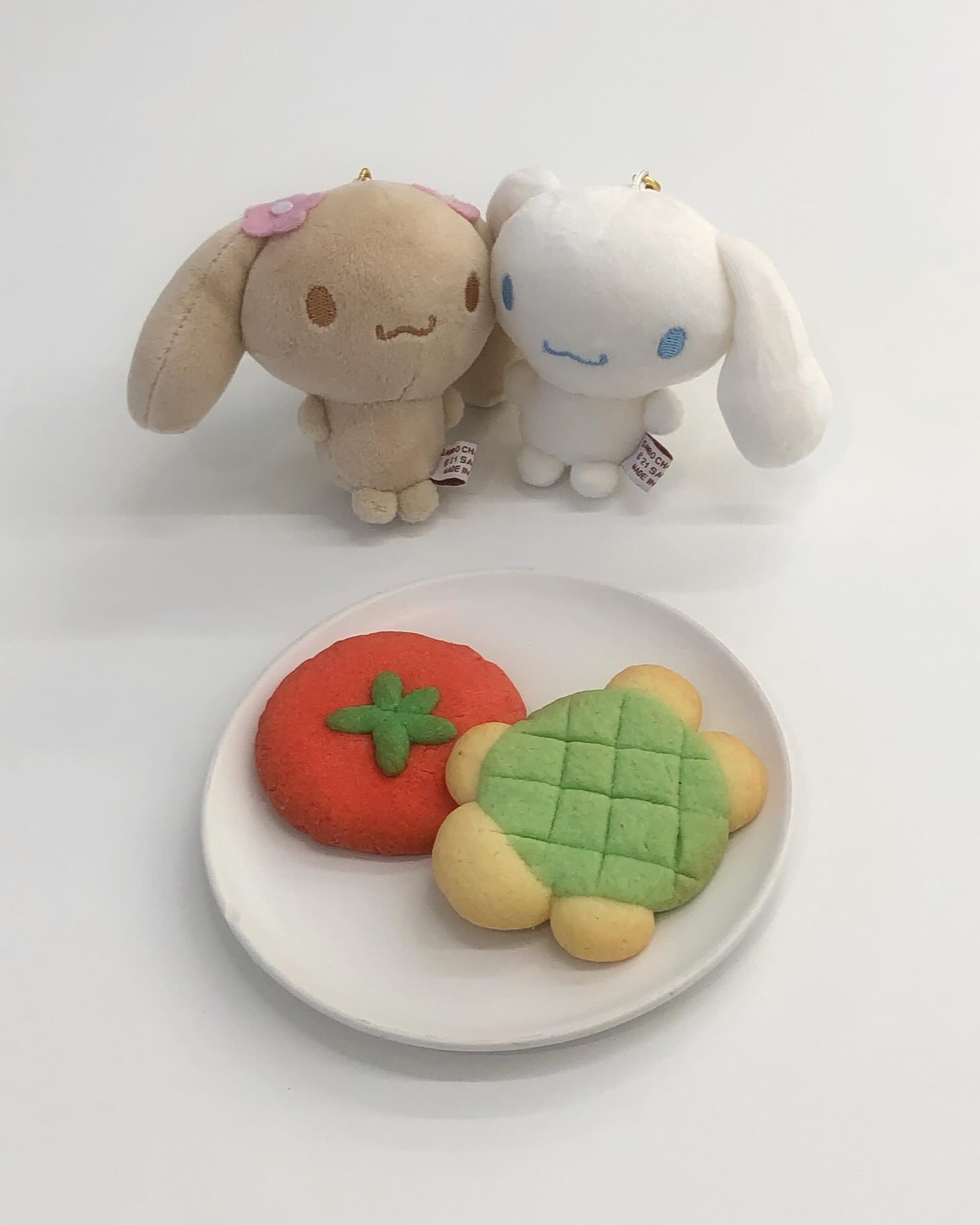 알록달록한 게 좋아 🪄◟✦✩‧₊˚