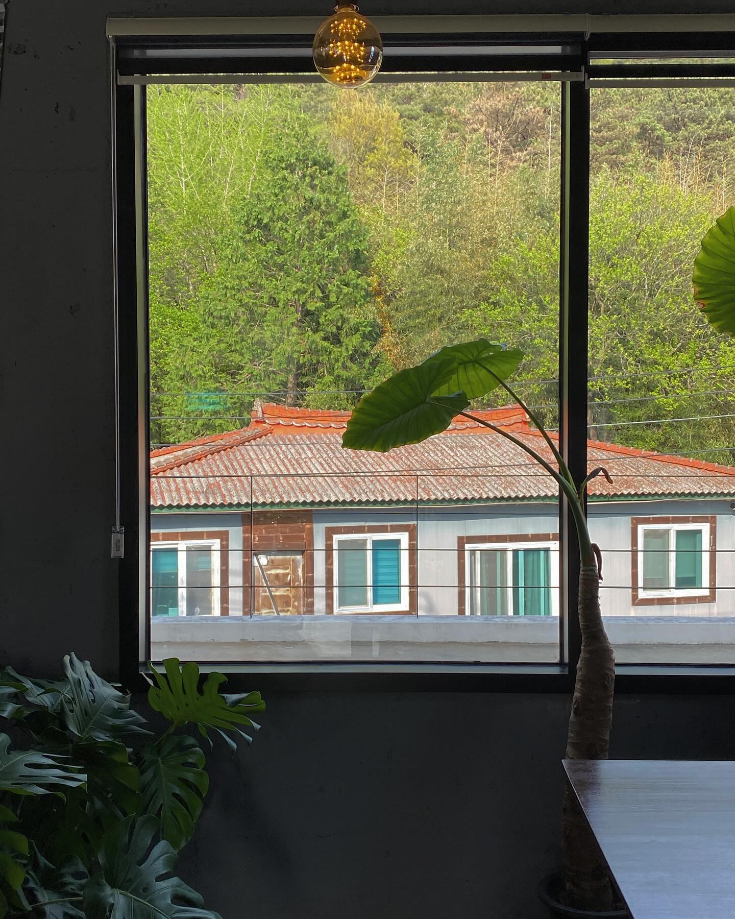 대아저수지에서 밥먹고 산책하고 들르기 좋은 카페 풀멍 🍃 들어서자마자 식물 한가득이라 너무 행복하고,, 다양한 테이블에 루프탑 야외 테이블도 있어 풀멍 물멍 자연멍 다 할 수 있는 곳 ~~~~
.
.
.
.
#풀멍
#담양카페
#아메리카노2500원
.
#도덕의맛따라멋따라_담양