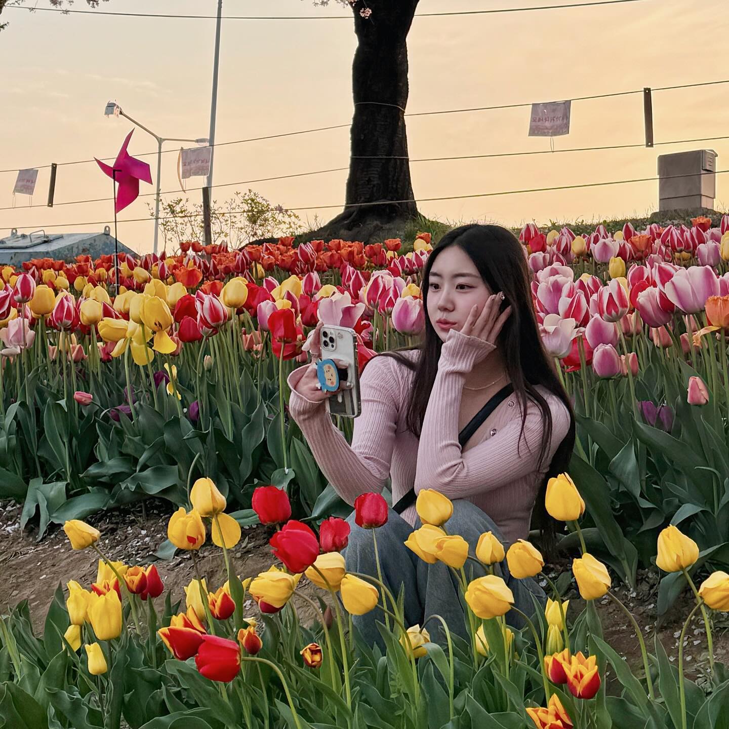 벚꽃 보러가서 🌸
튤립이랑 사진 찍기 🌷